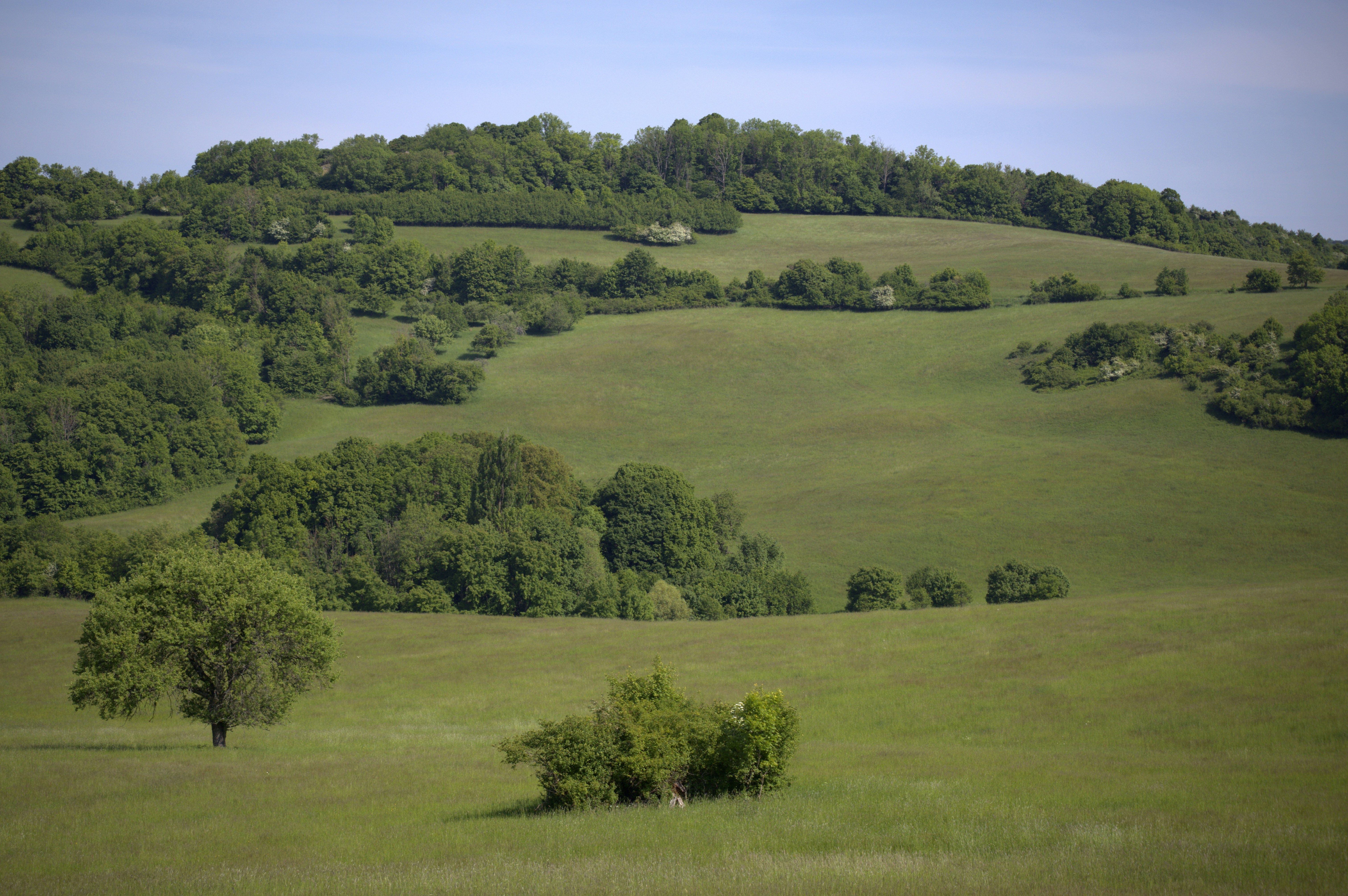 Photo by martin_lednar