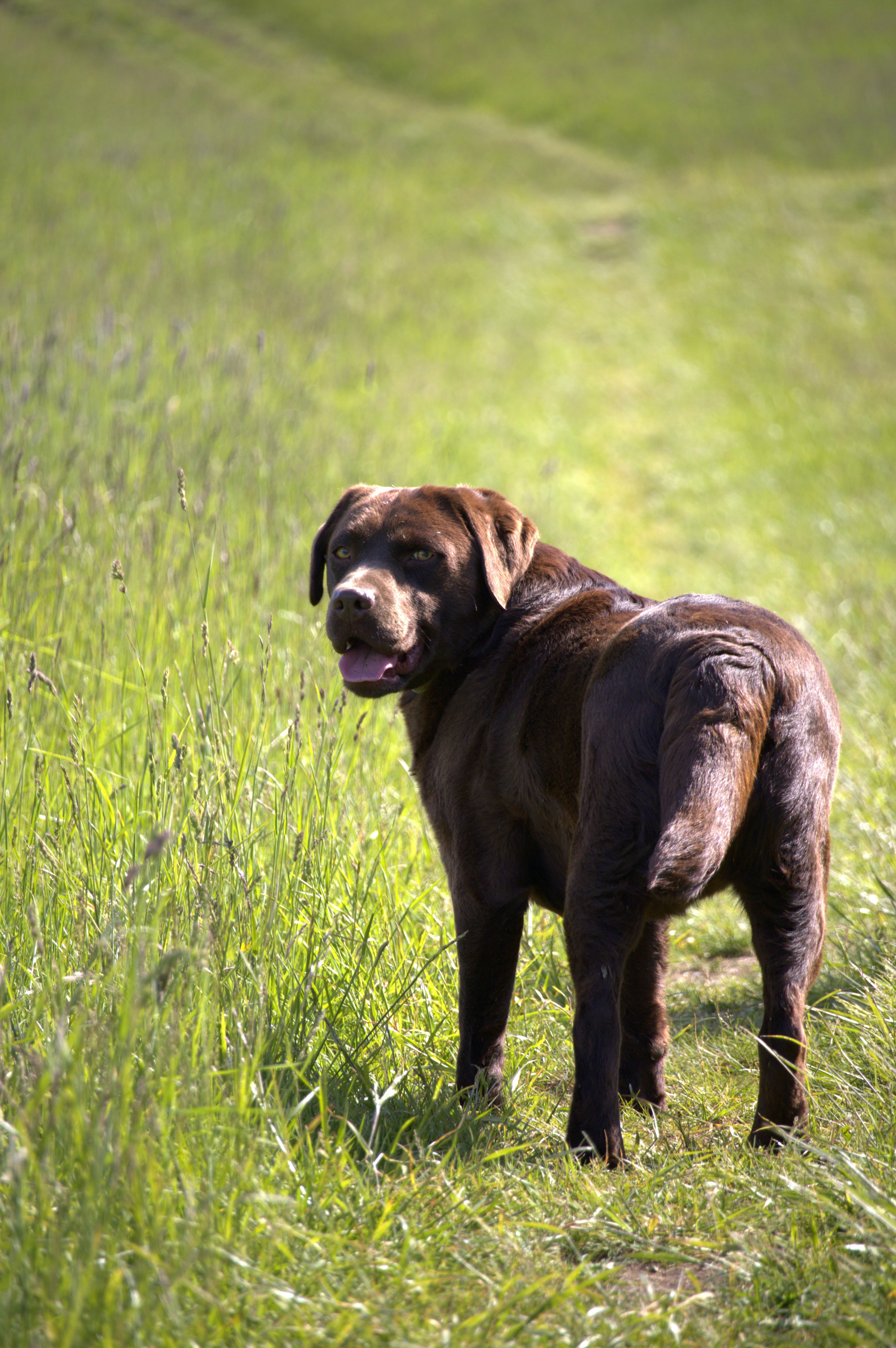 Photo by martin_lednar