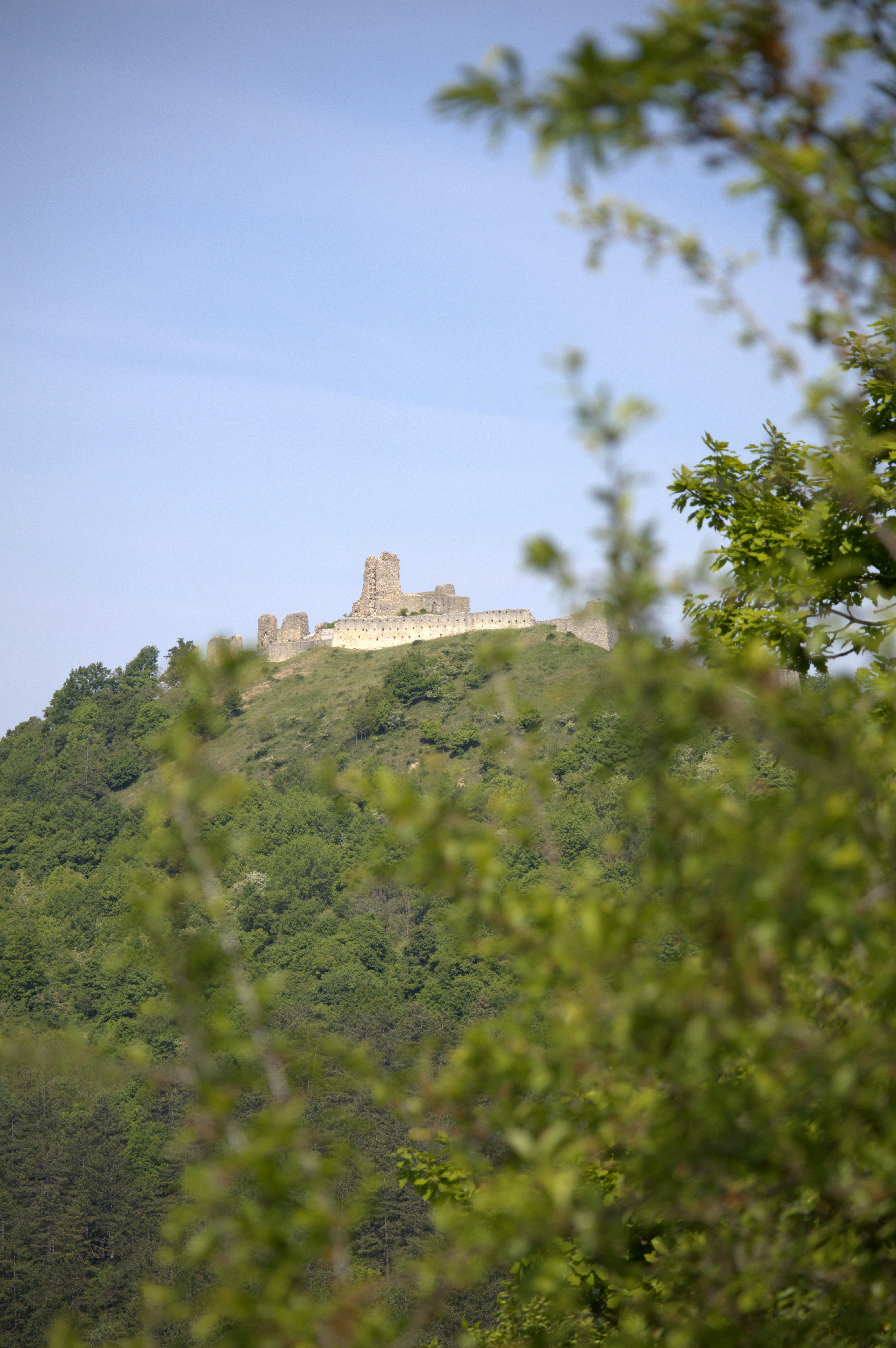 Photo by martin_lednar