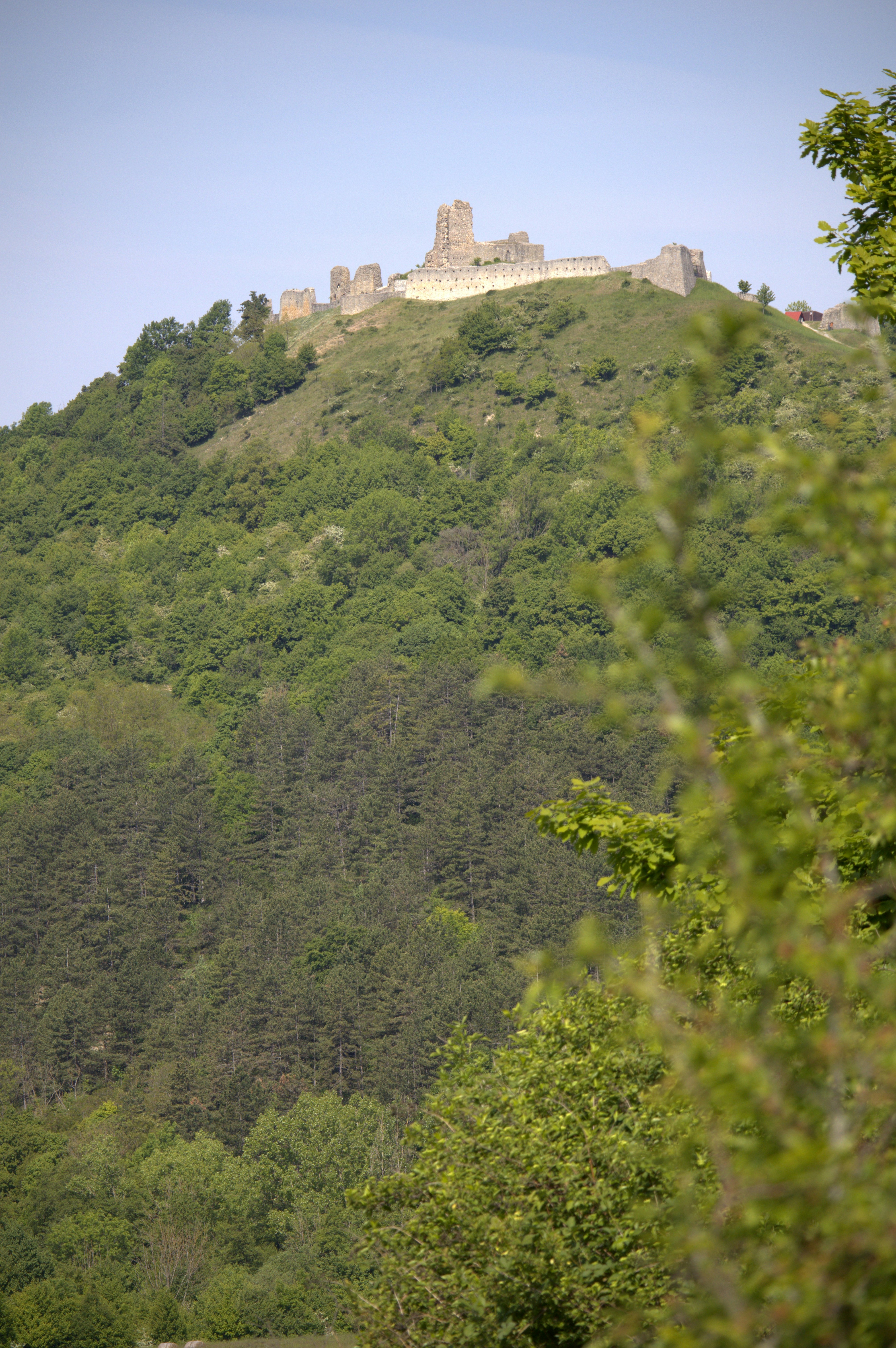 Photo by martin_lednar