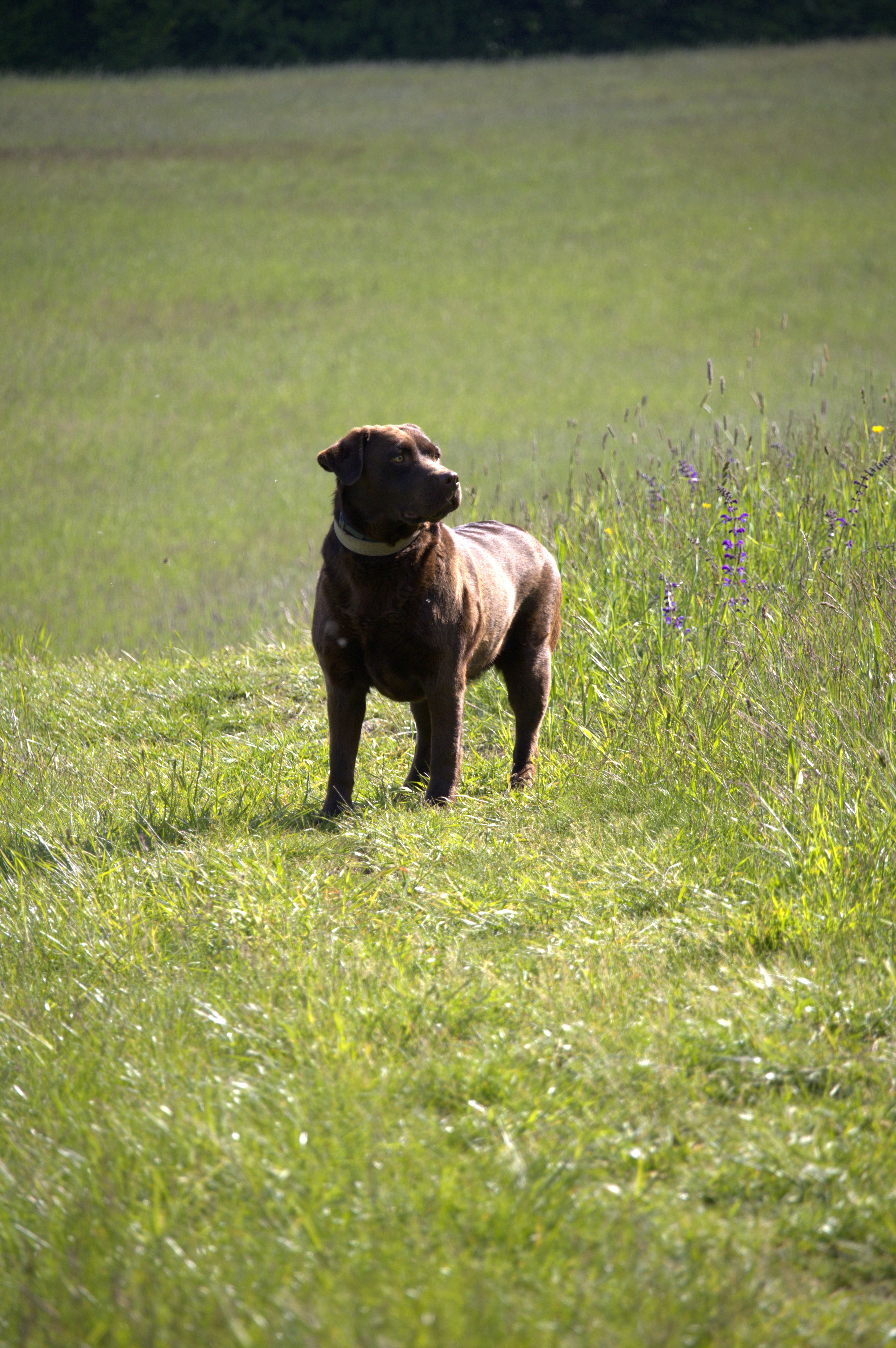 Photo by martin_lednar