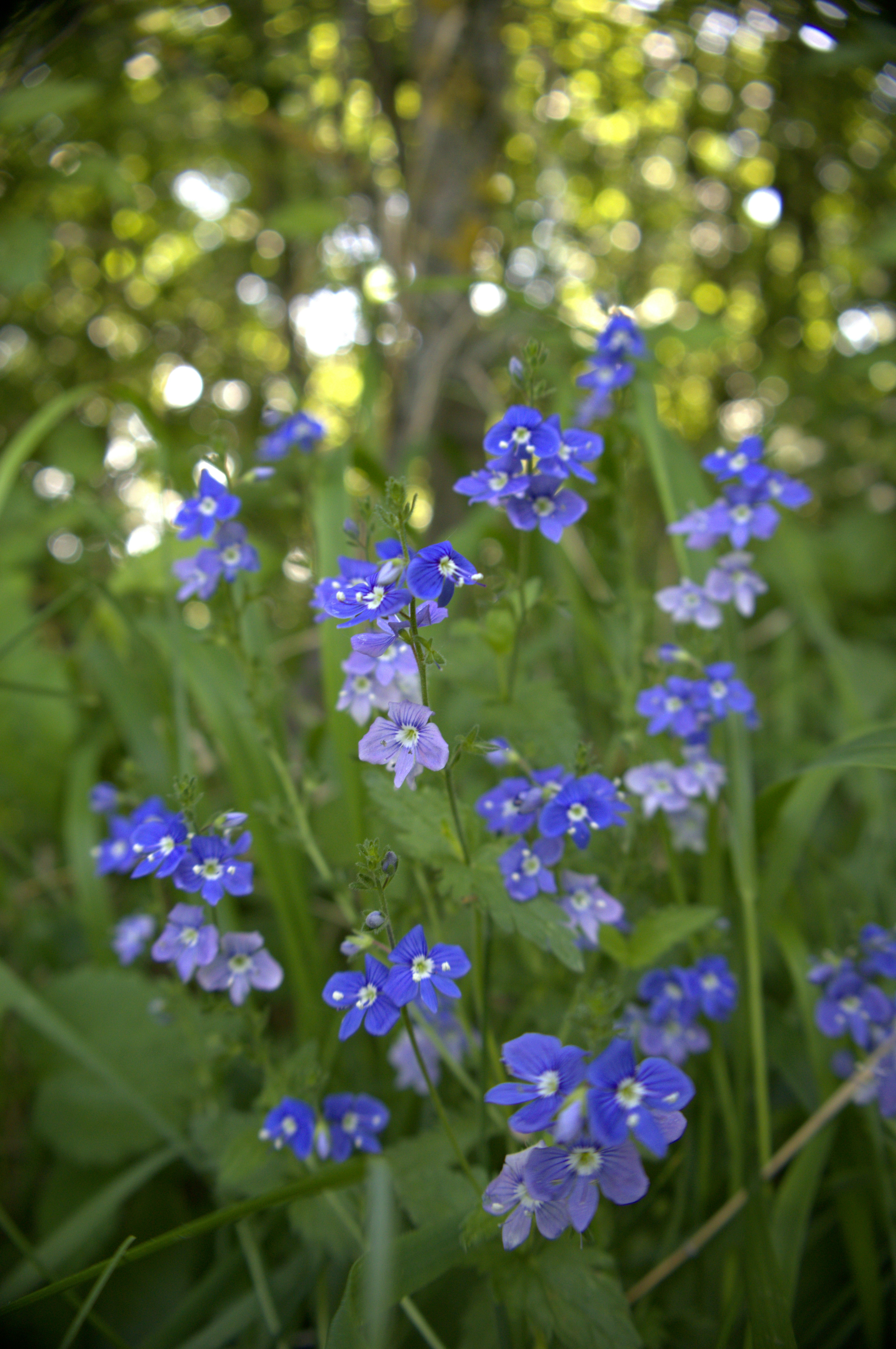 Photo by martin_lednar