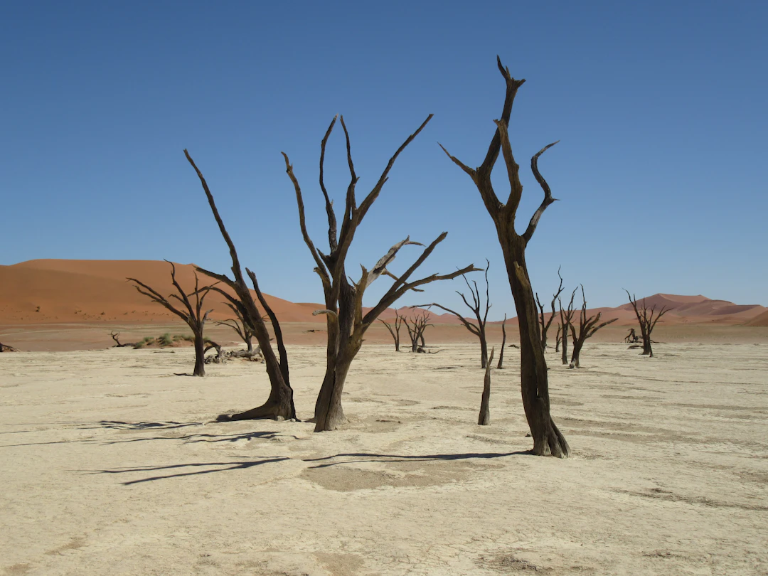 15-Day Namibia Budget Backpacking Itinerary