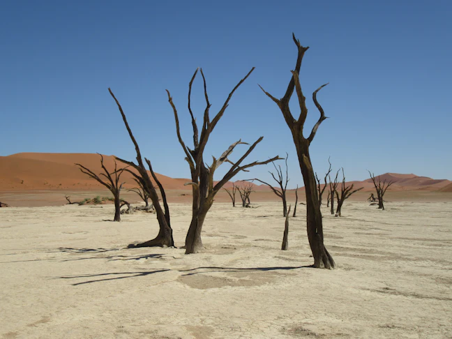 15-Day Namibia Budget Backpacking Itinerary