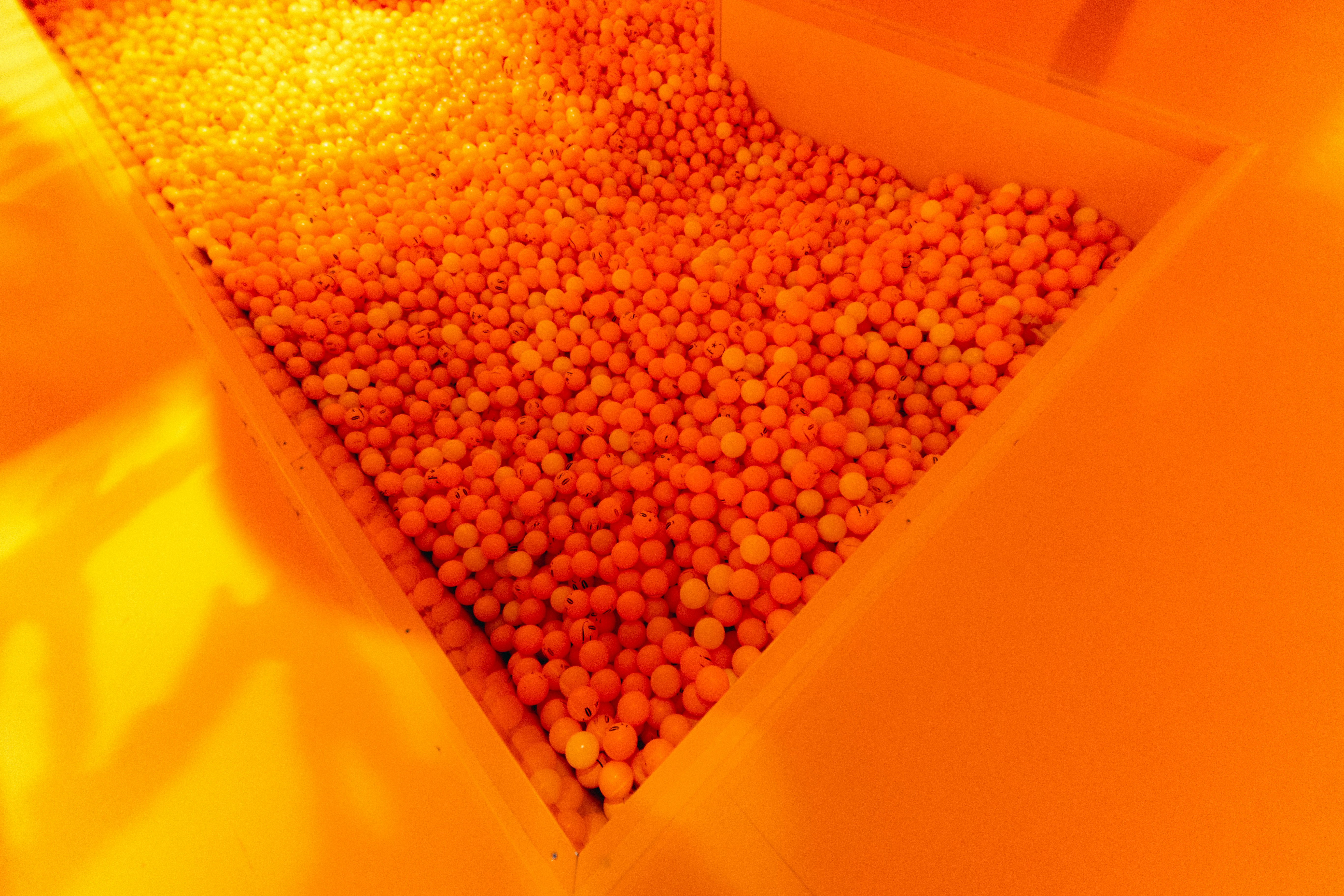 A container is filled with small, round food.