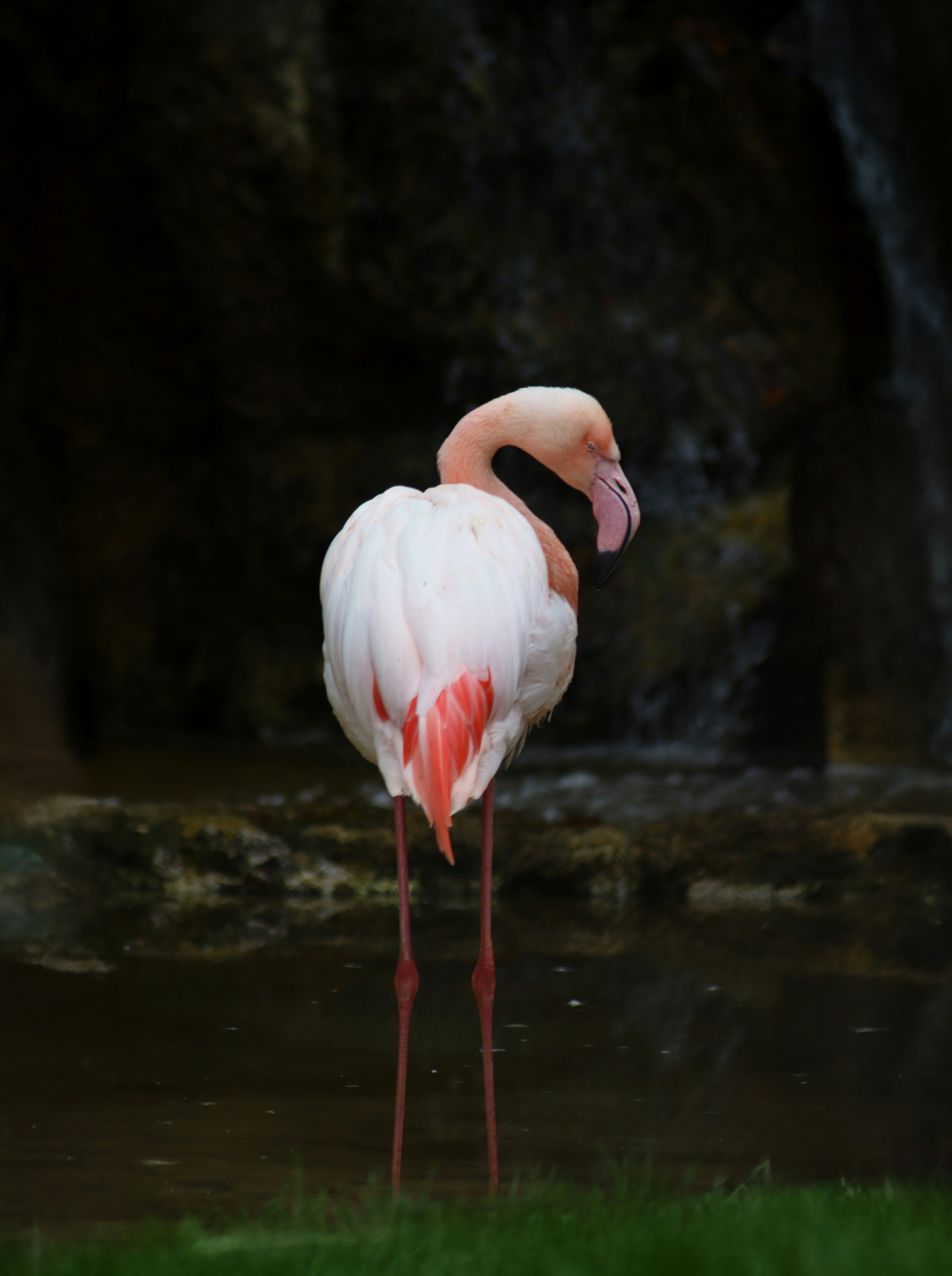 Photo by kevs4265