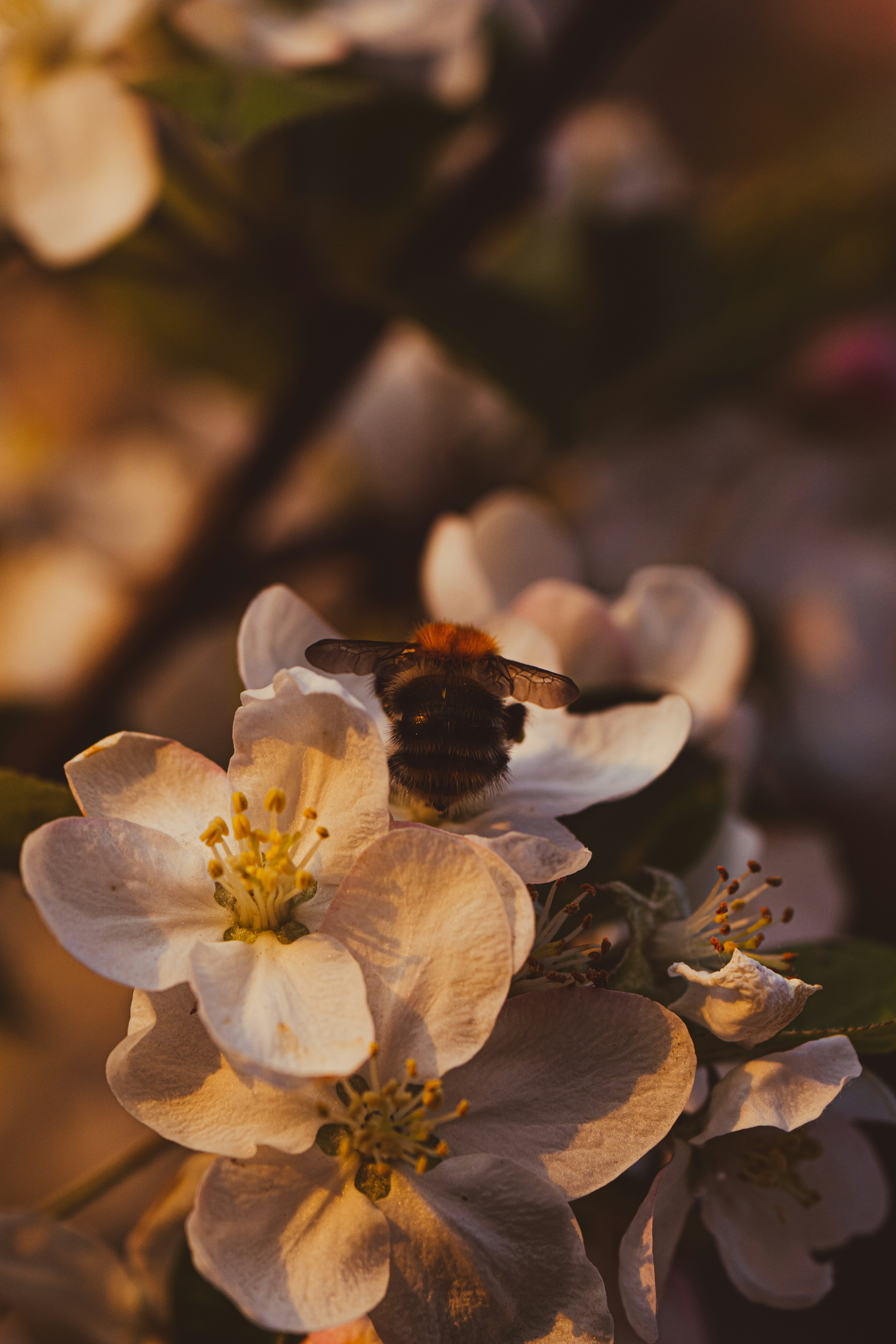 Photo by hellaren