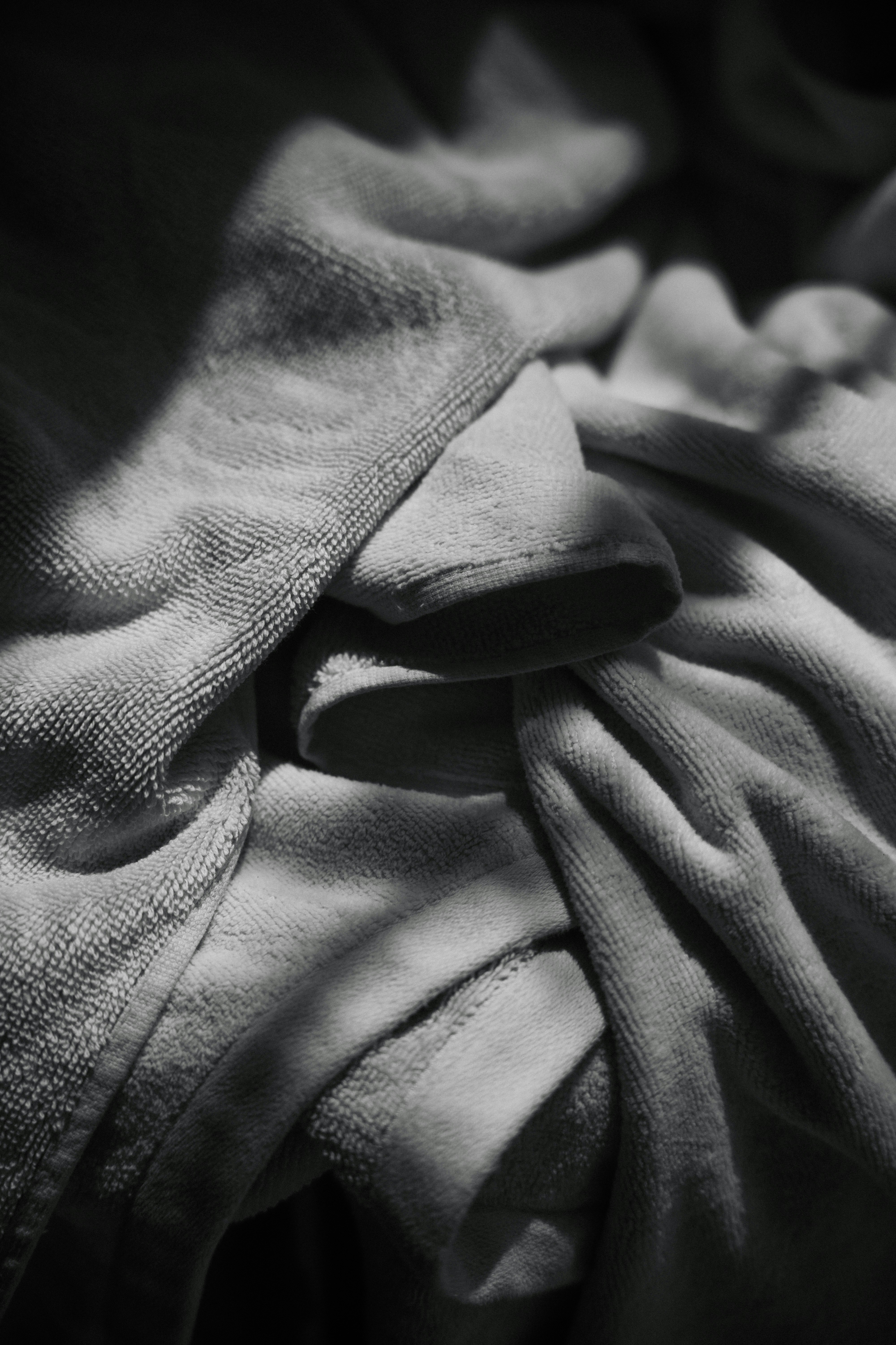 Photo by daniwithaniphotovideo