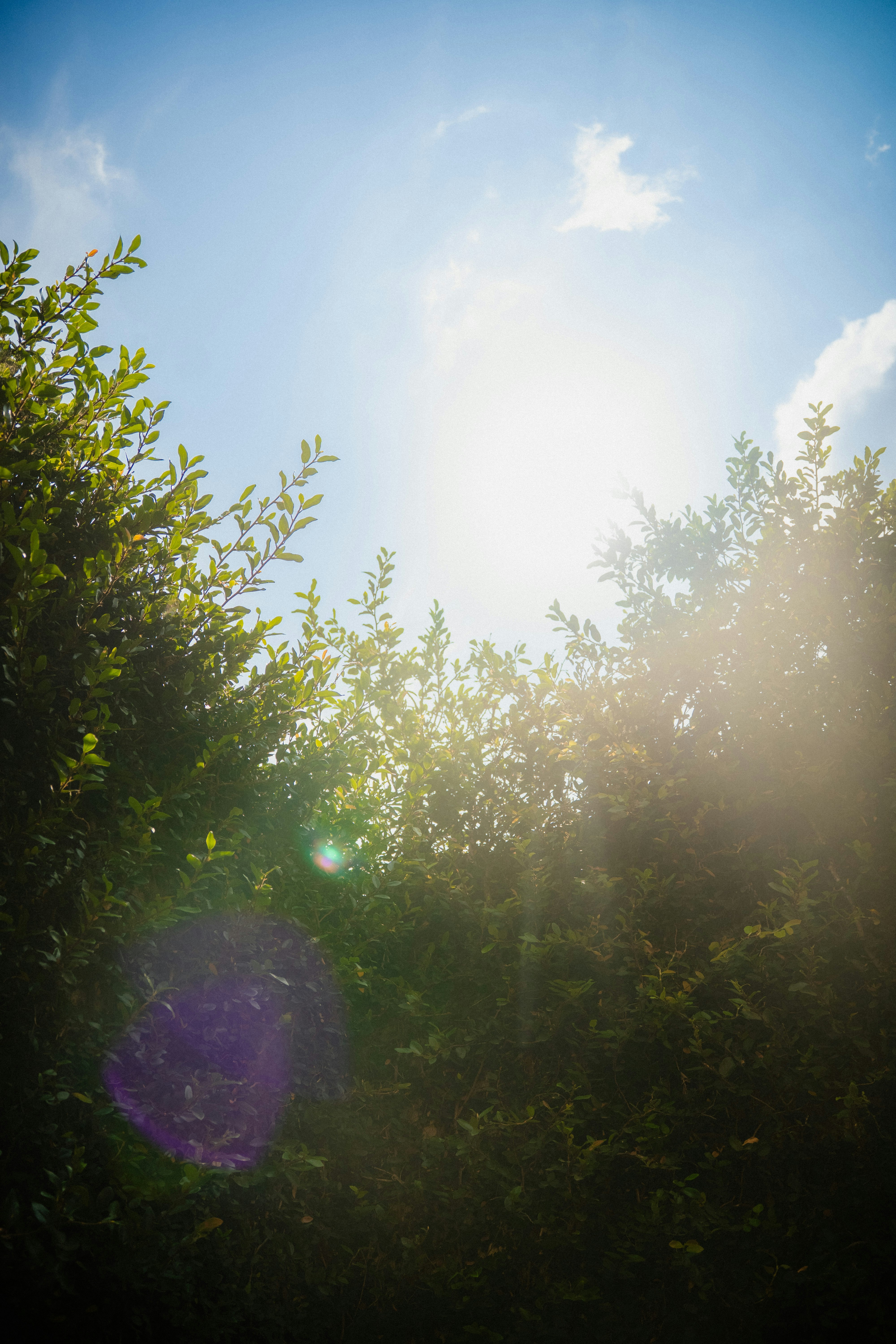 Photo by daniwithaniphotovideo