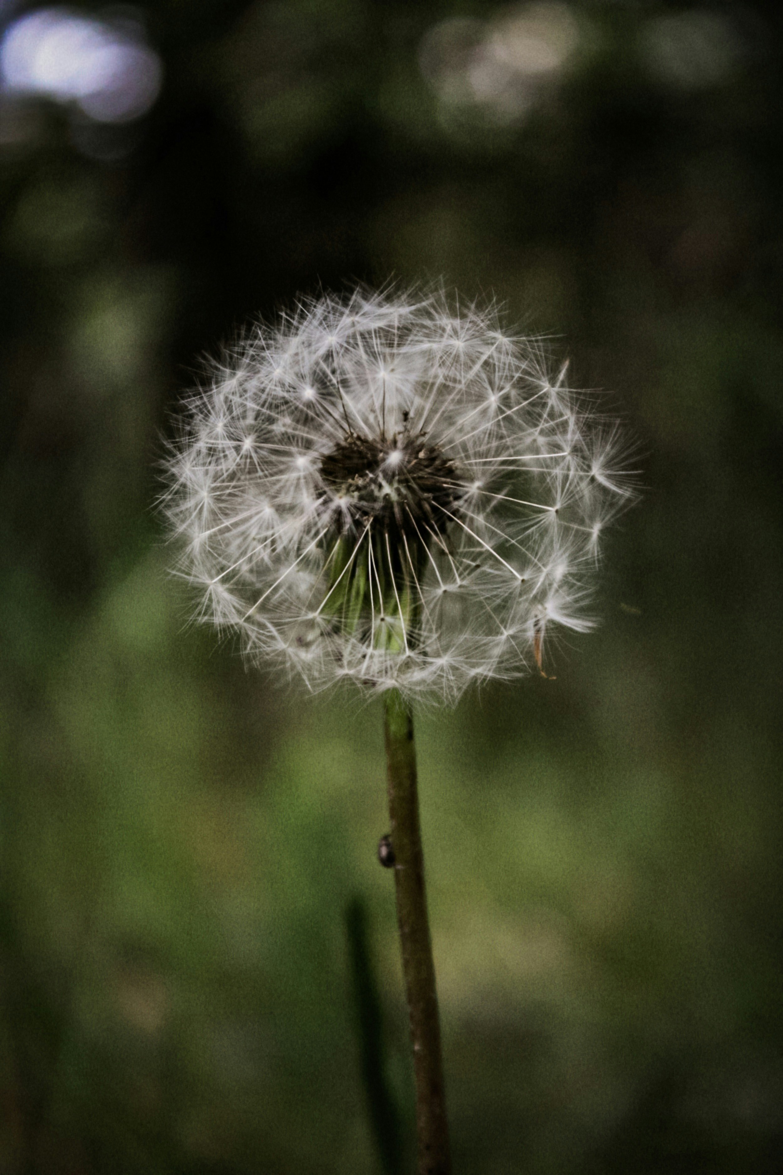 Photo by tavia_0508_sb