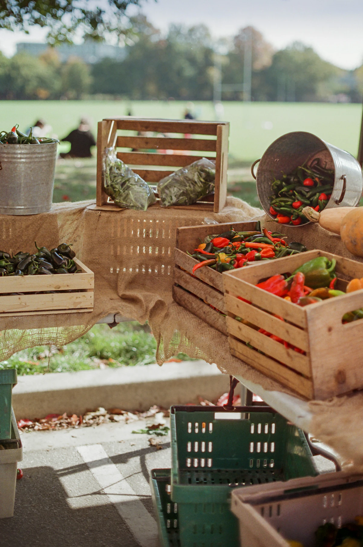 Representative image: colorful farm produce arranged in market crates