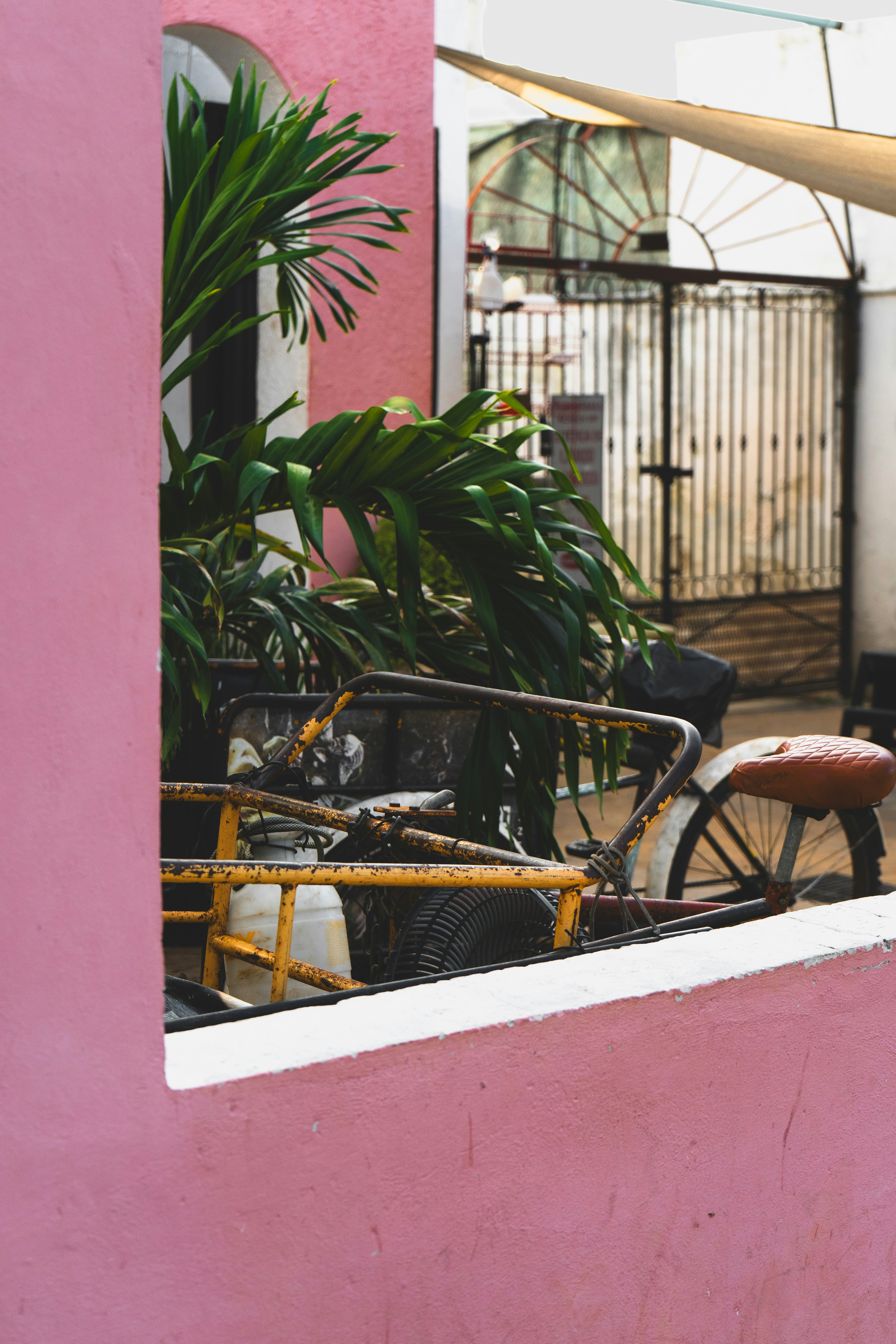 Photo by alanmoraales