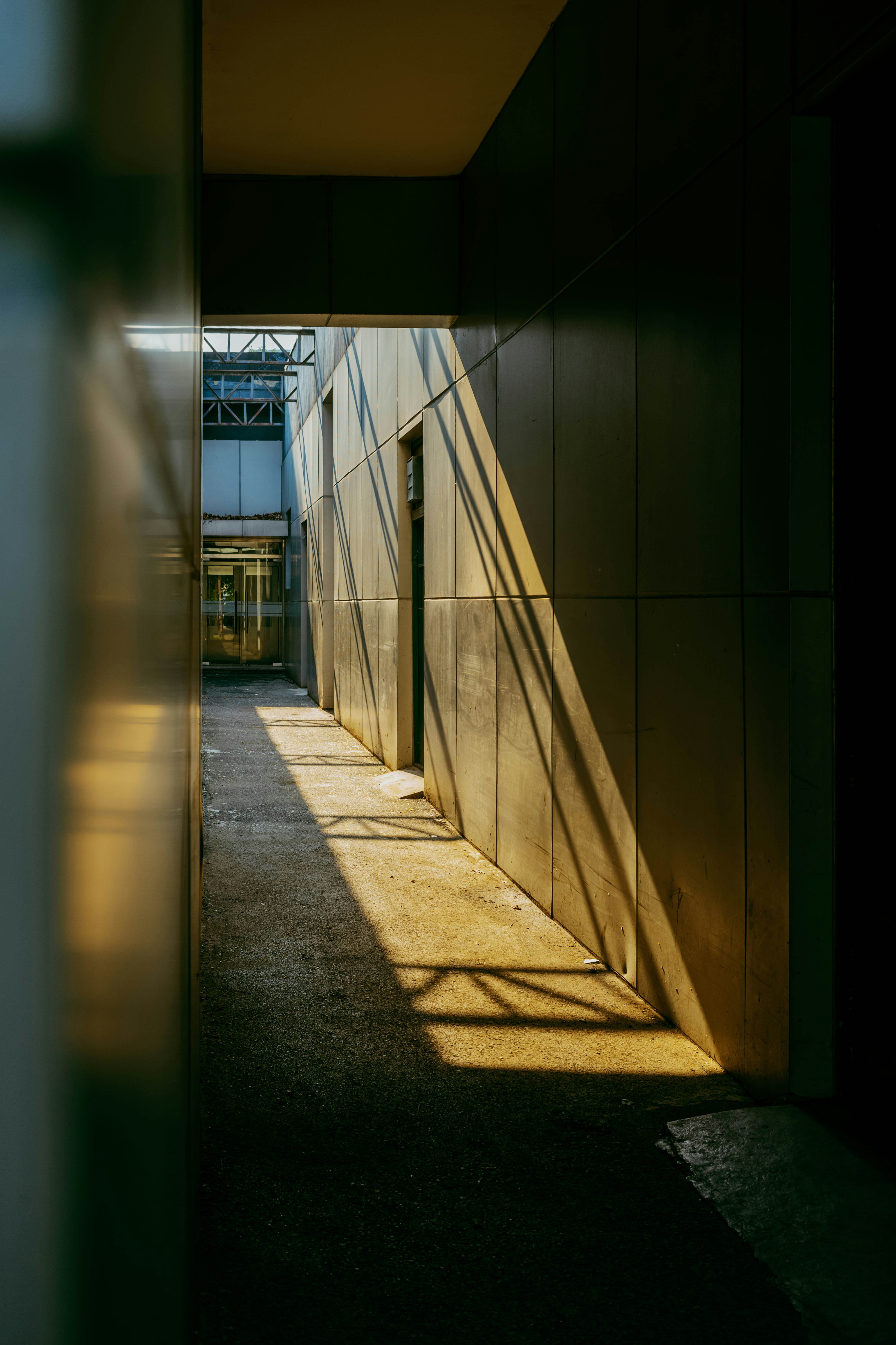 Photo by tommaomaoer