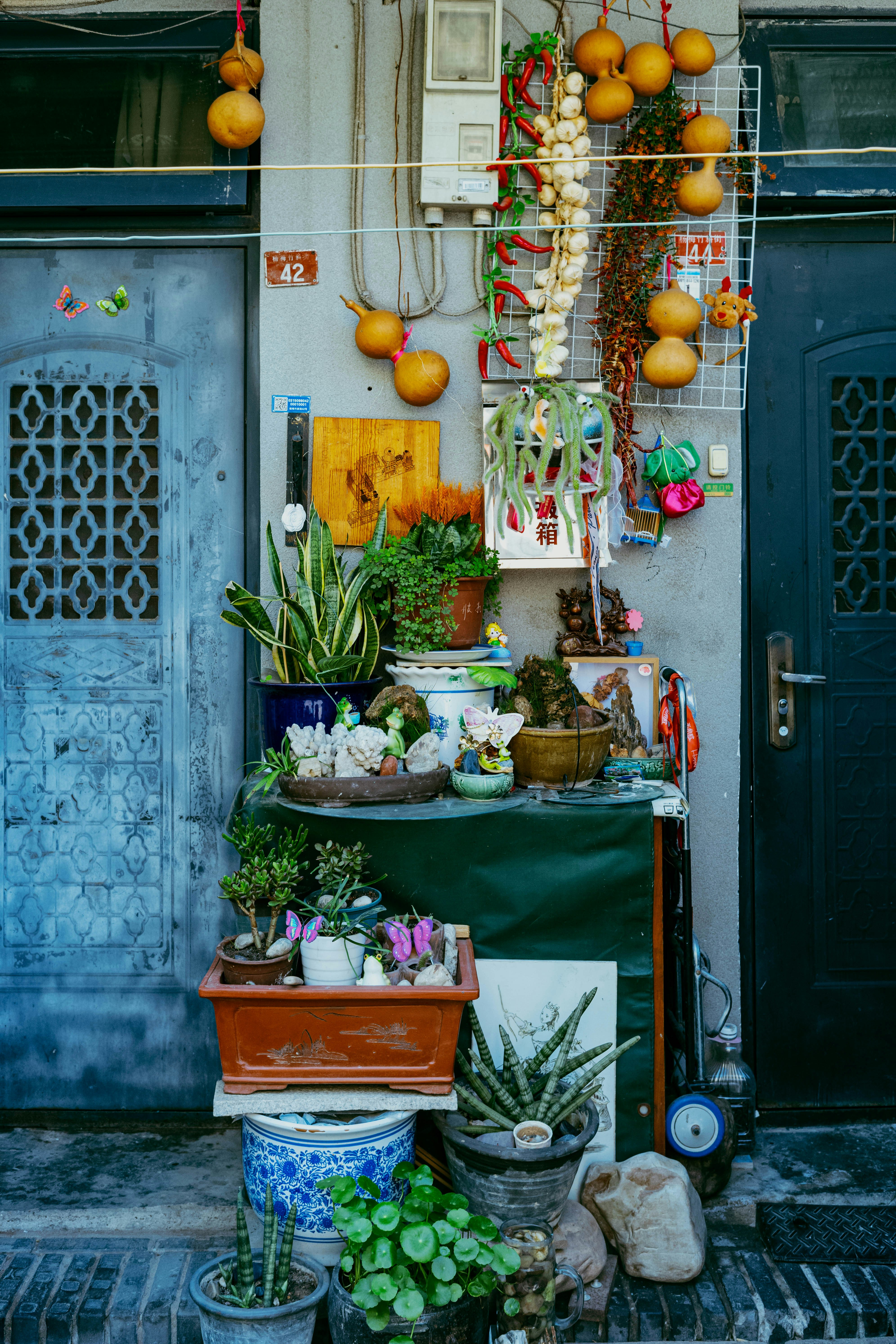 Photo by tommaomaoer