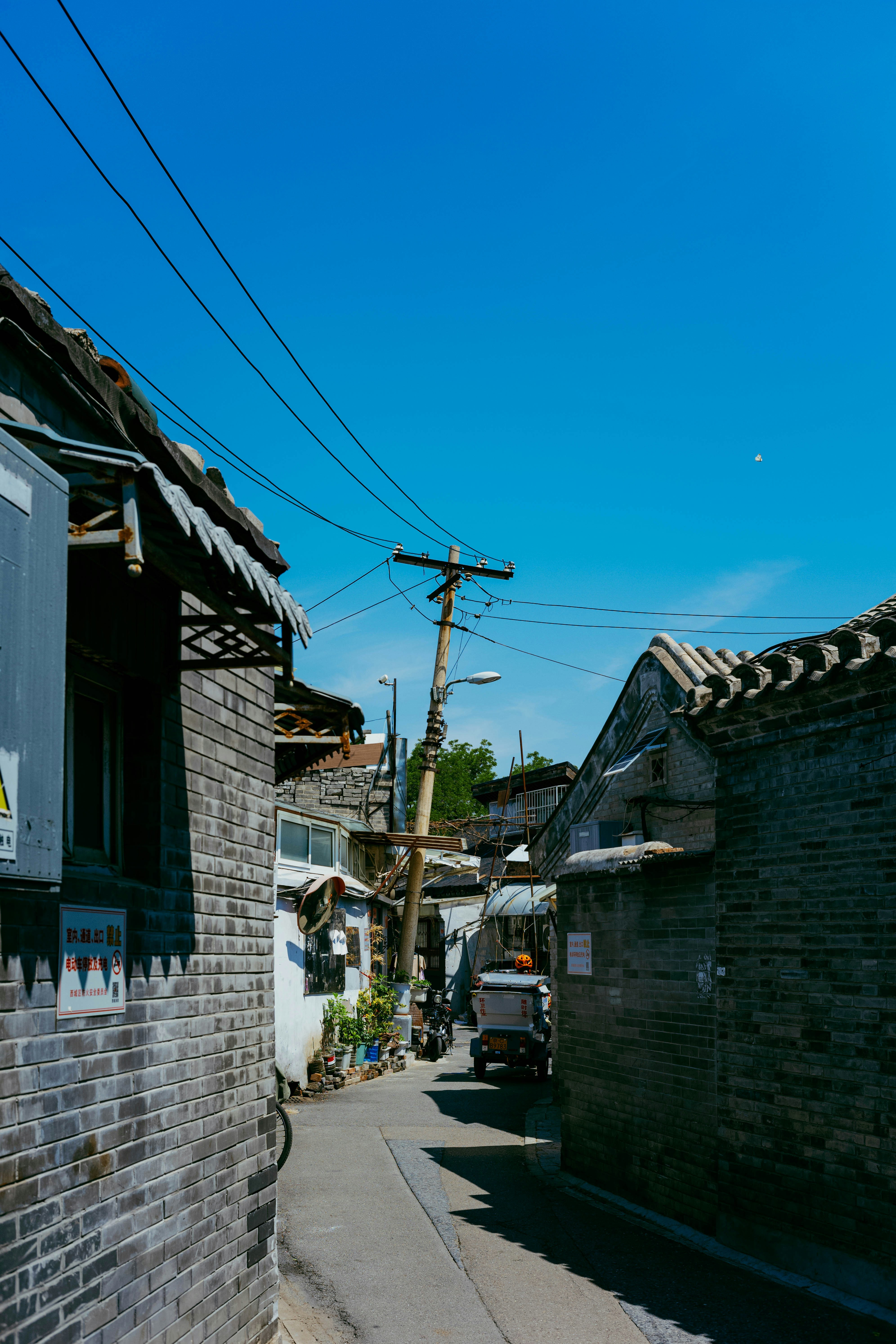 Photo by tommaomaoer