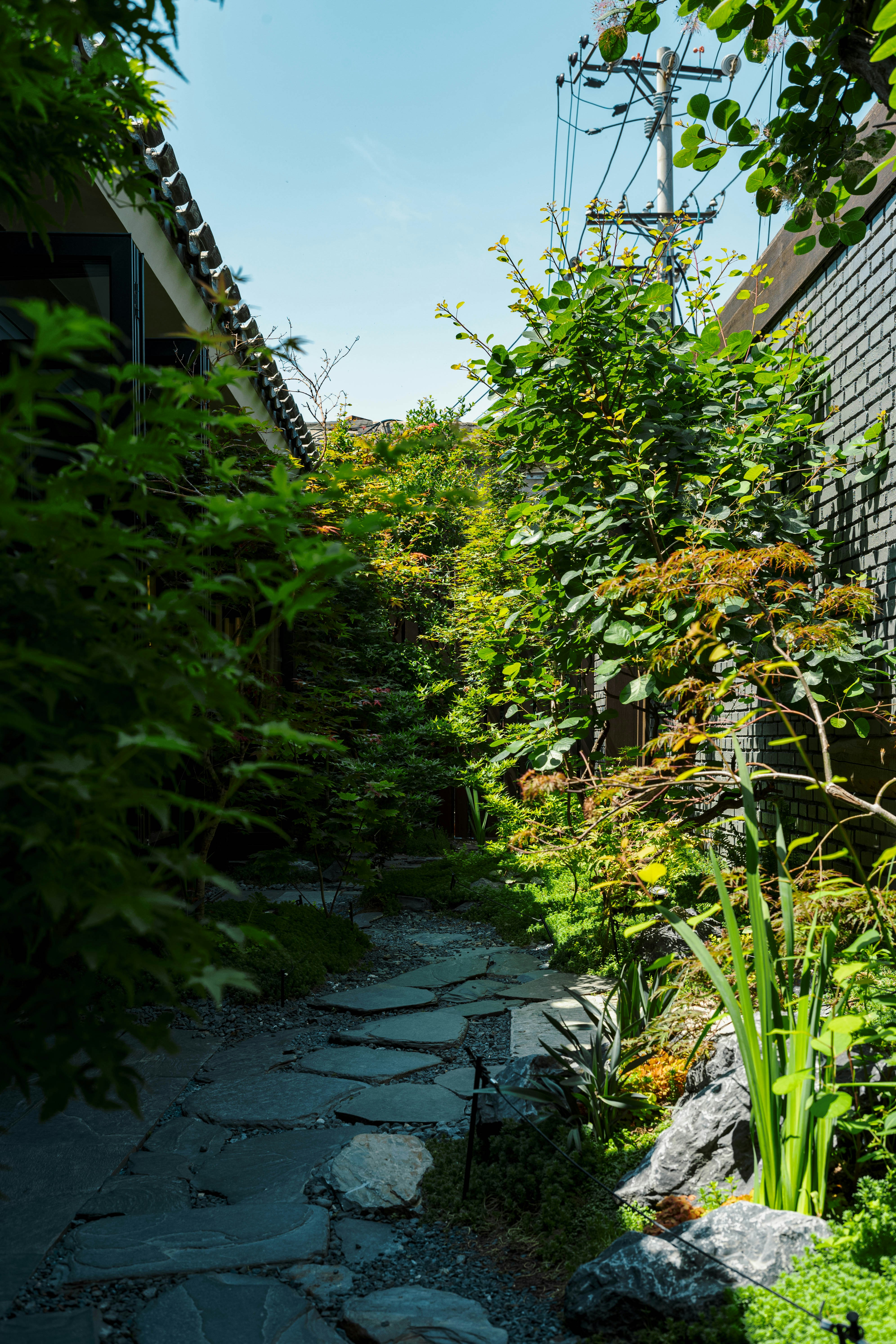 Photo by tommaomaoer