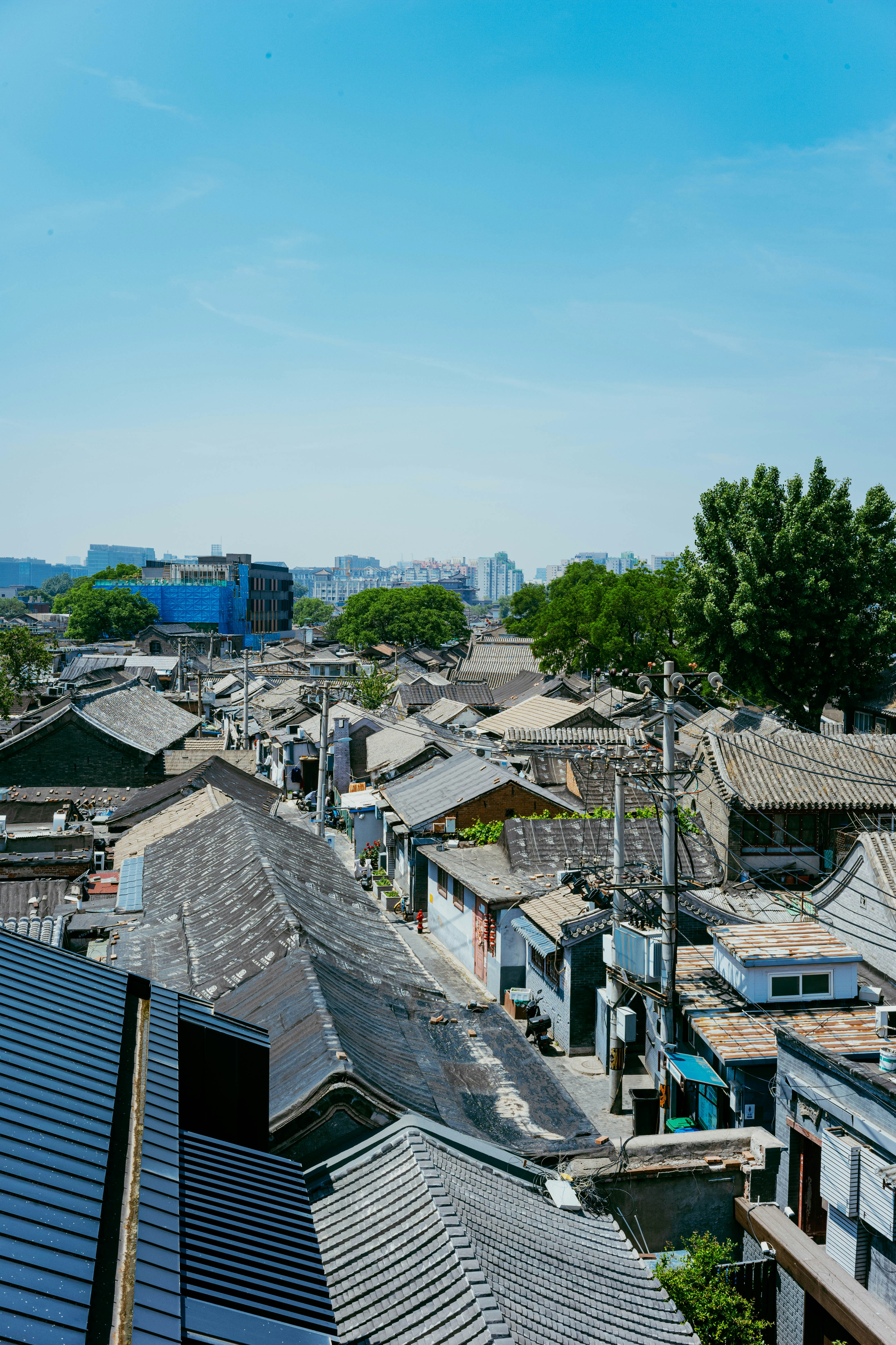 Photo by tommaomaoer