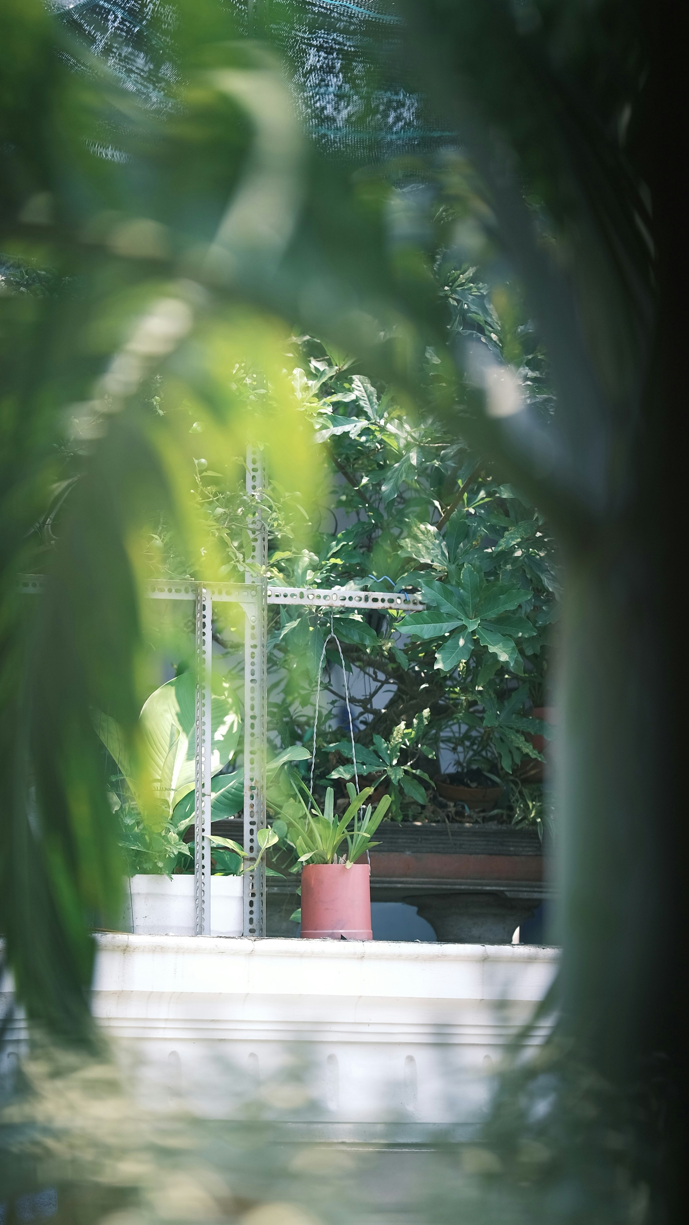 Photo by tutrananh109