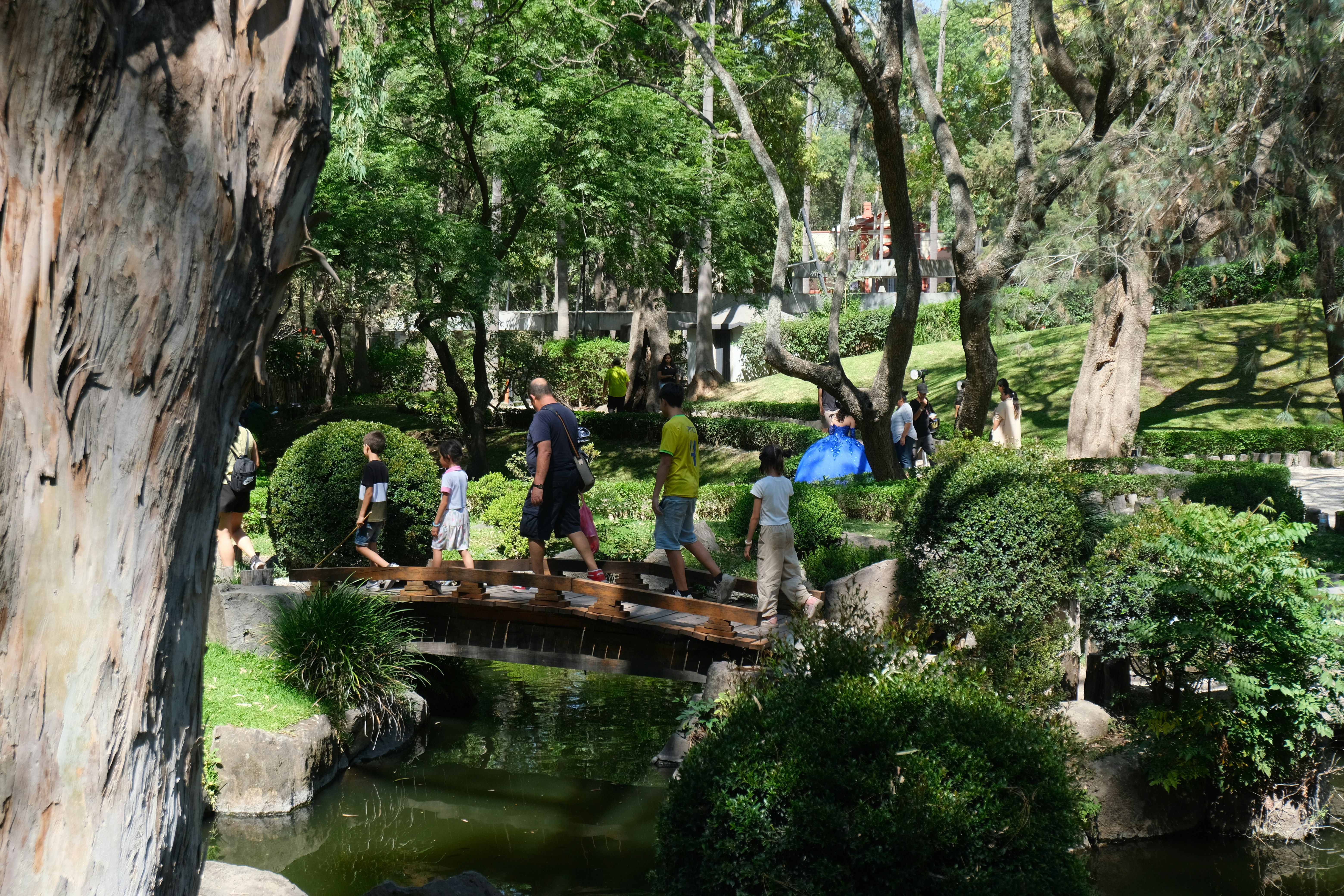parque coto pintores
