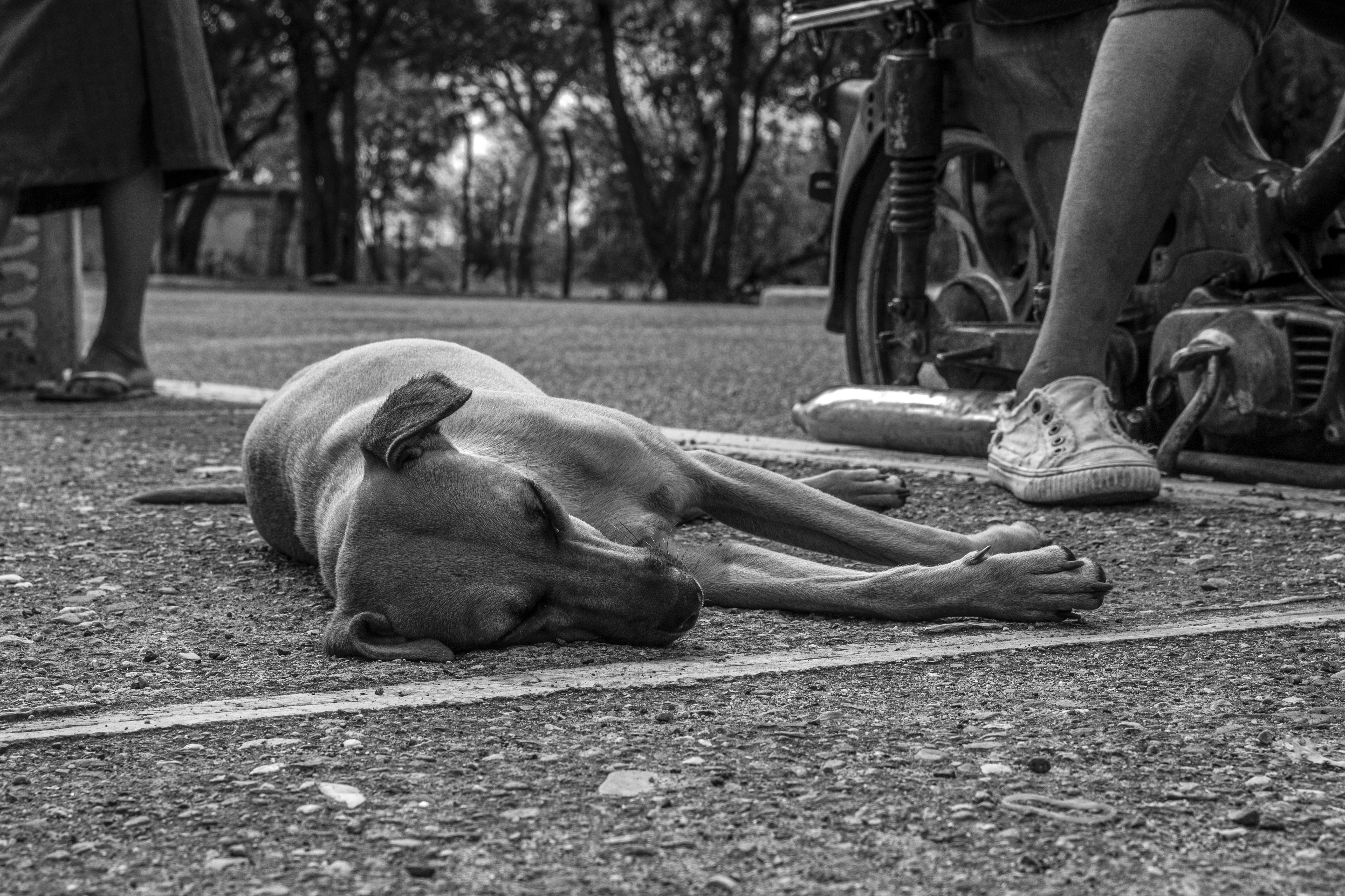 Photo by hancelfotografiard