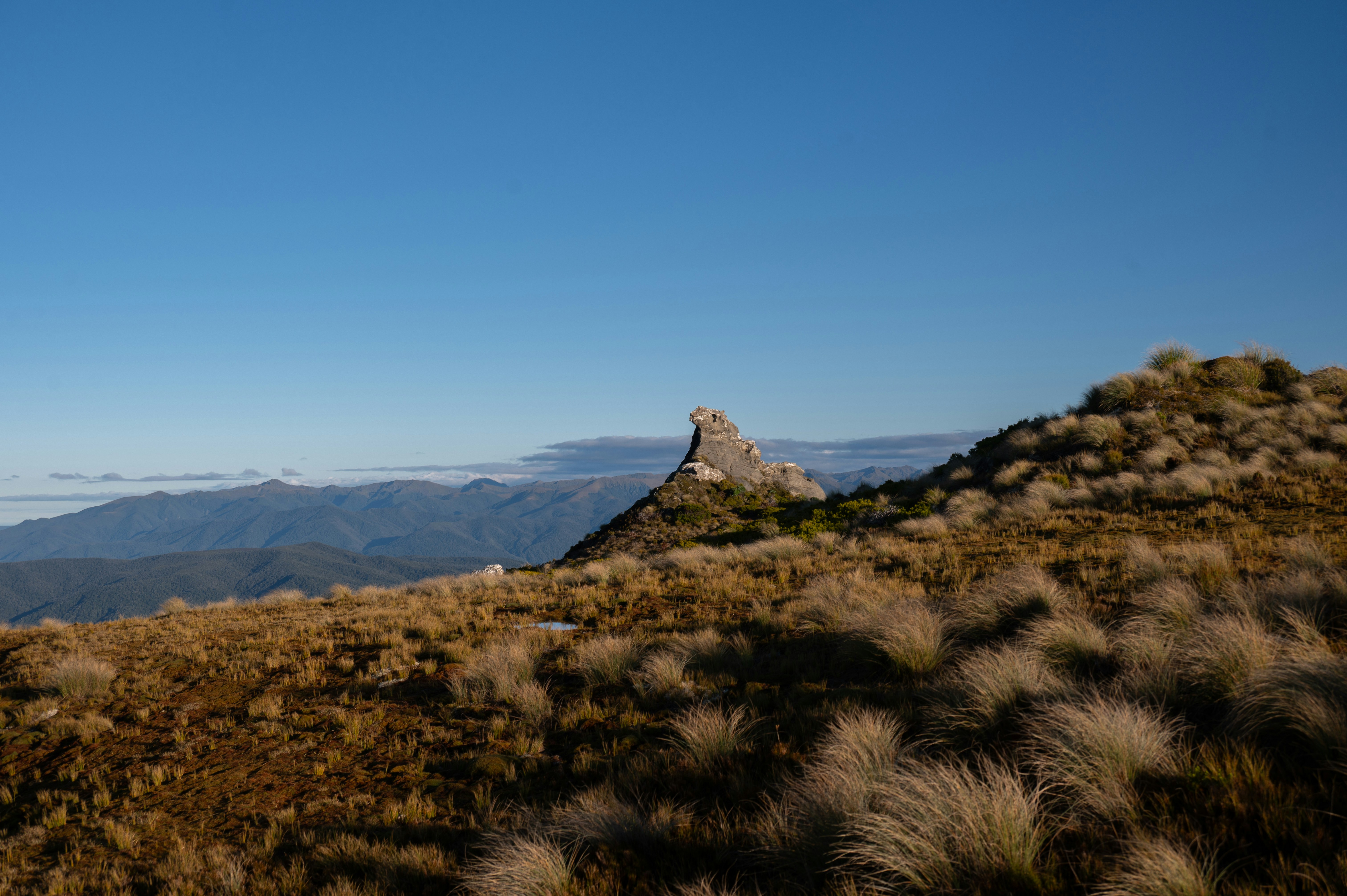 Photo by toby_hall28