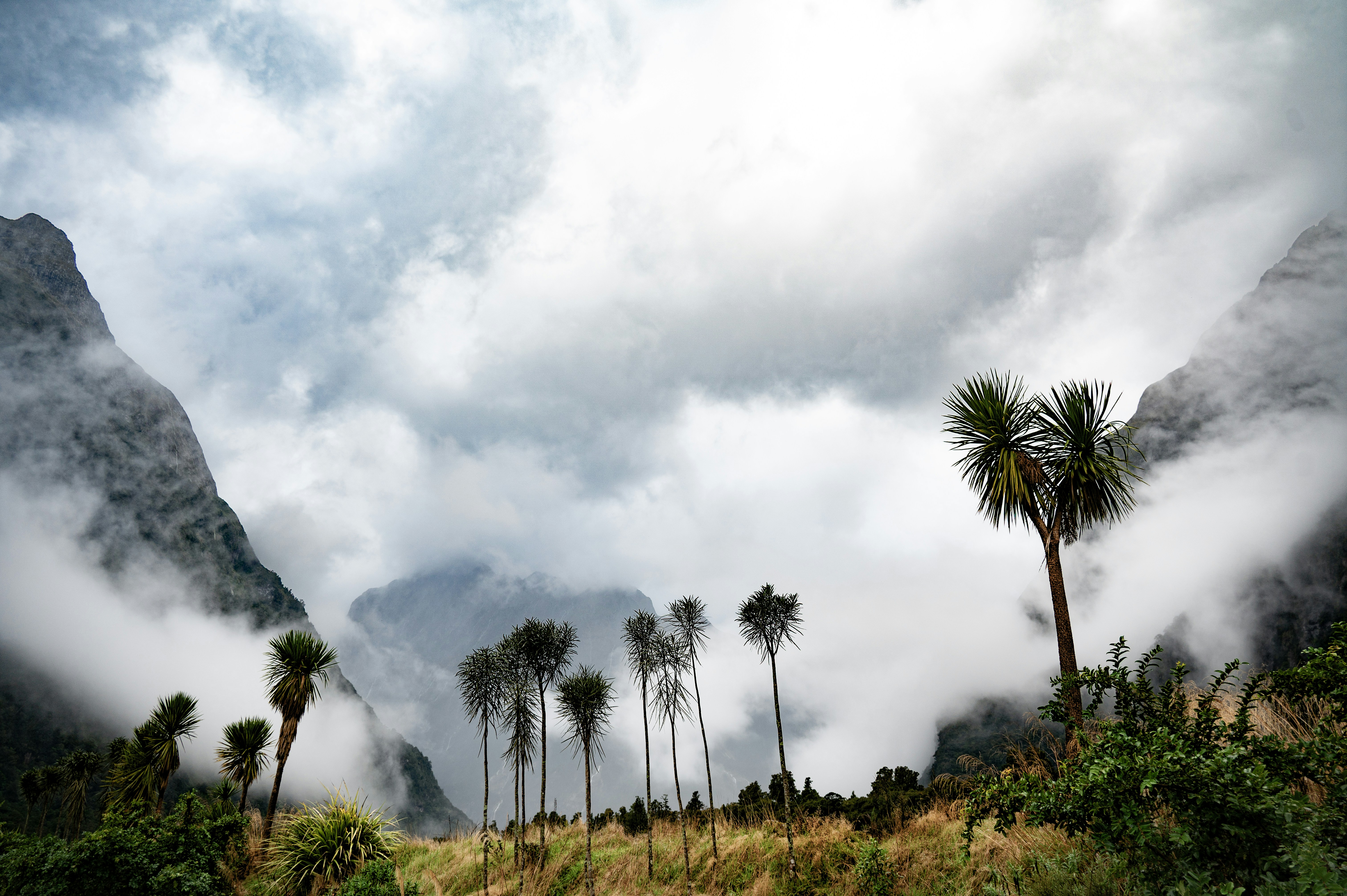 Photo by toby_hall28