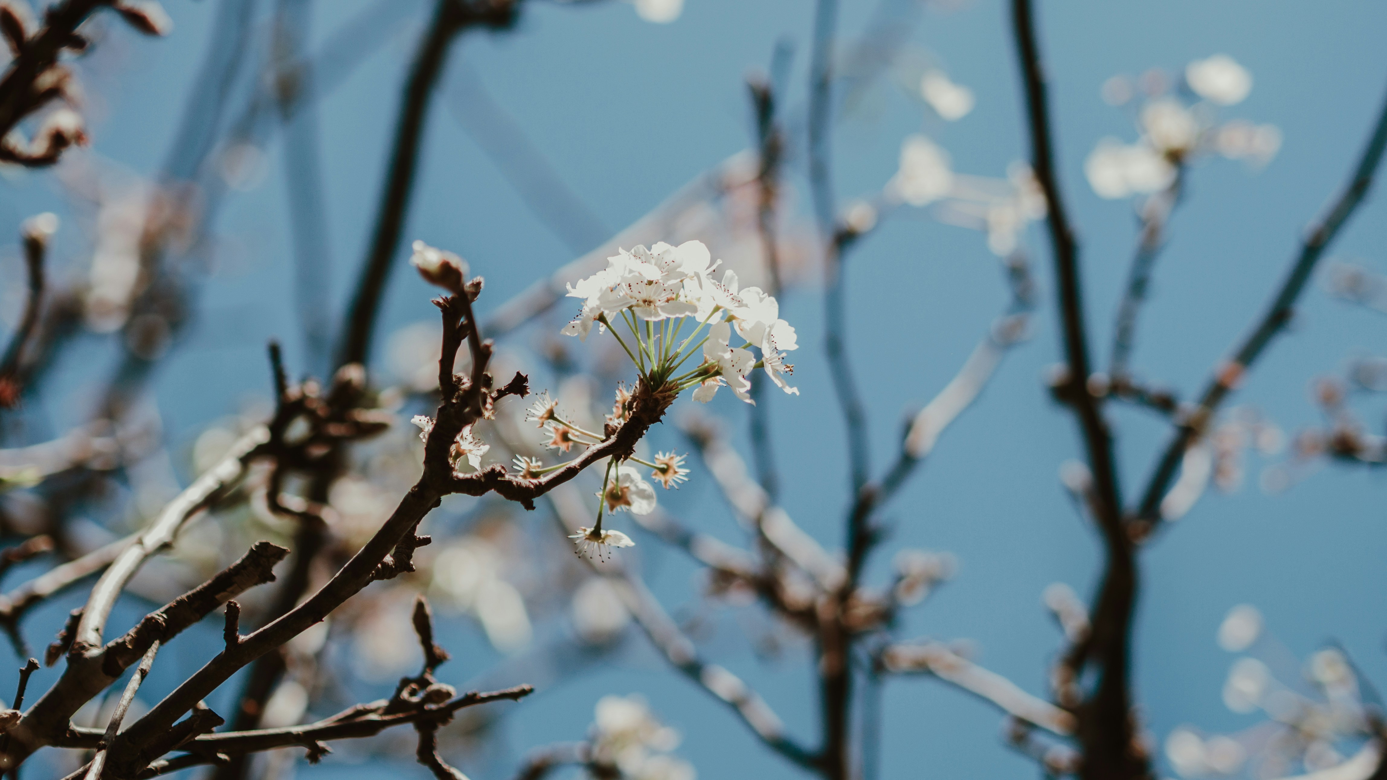 Photo by candegrapher