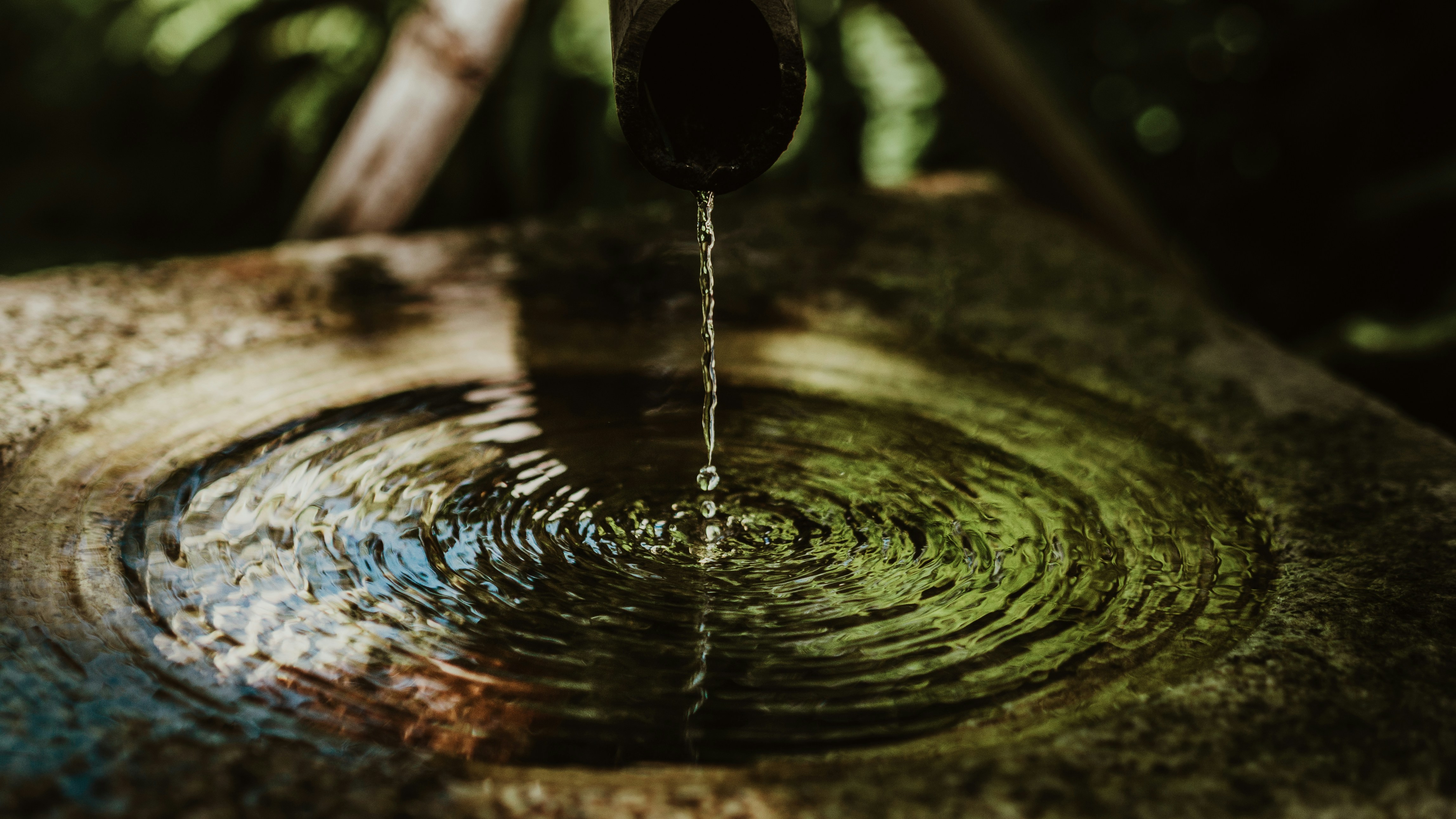 Photo by candegrapher