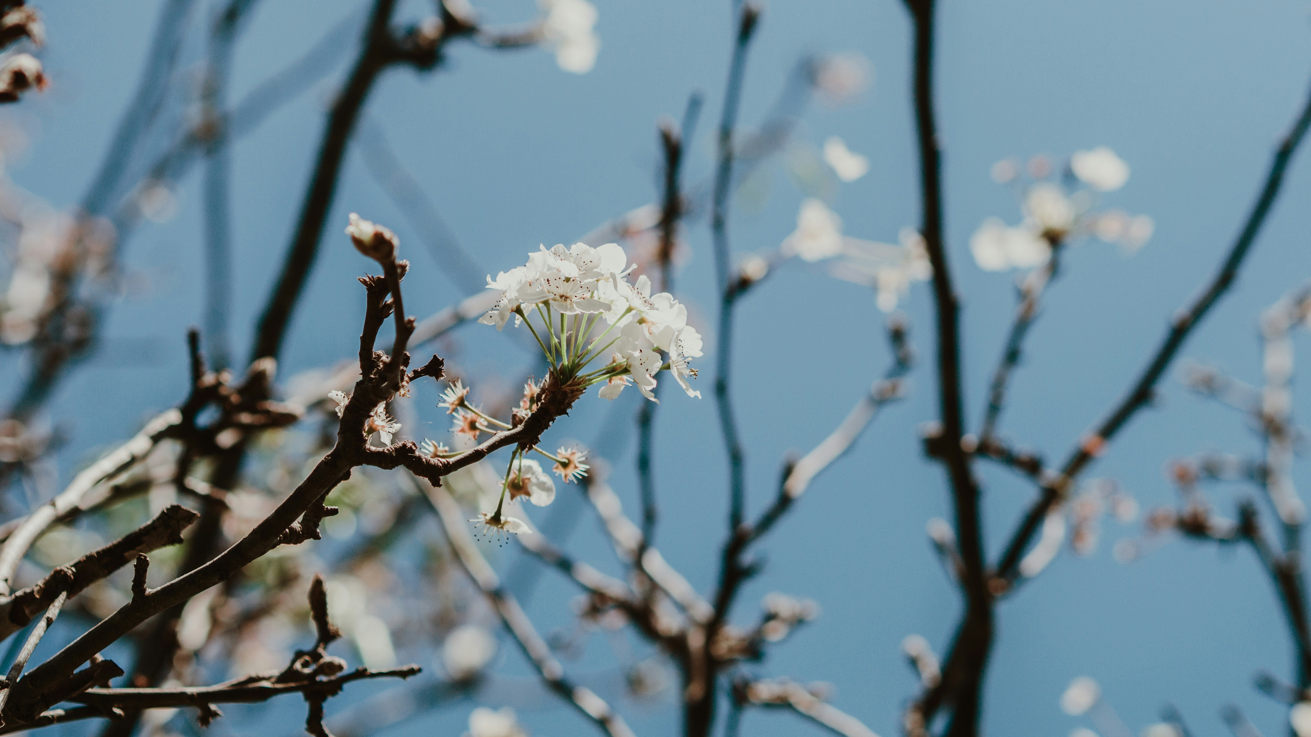 Photo by candegrapher