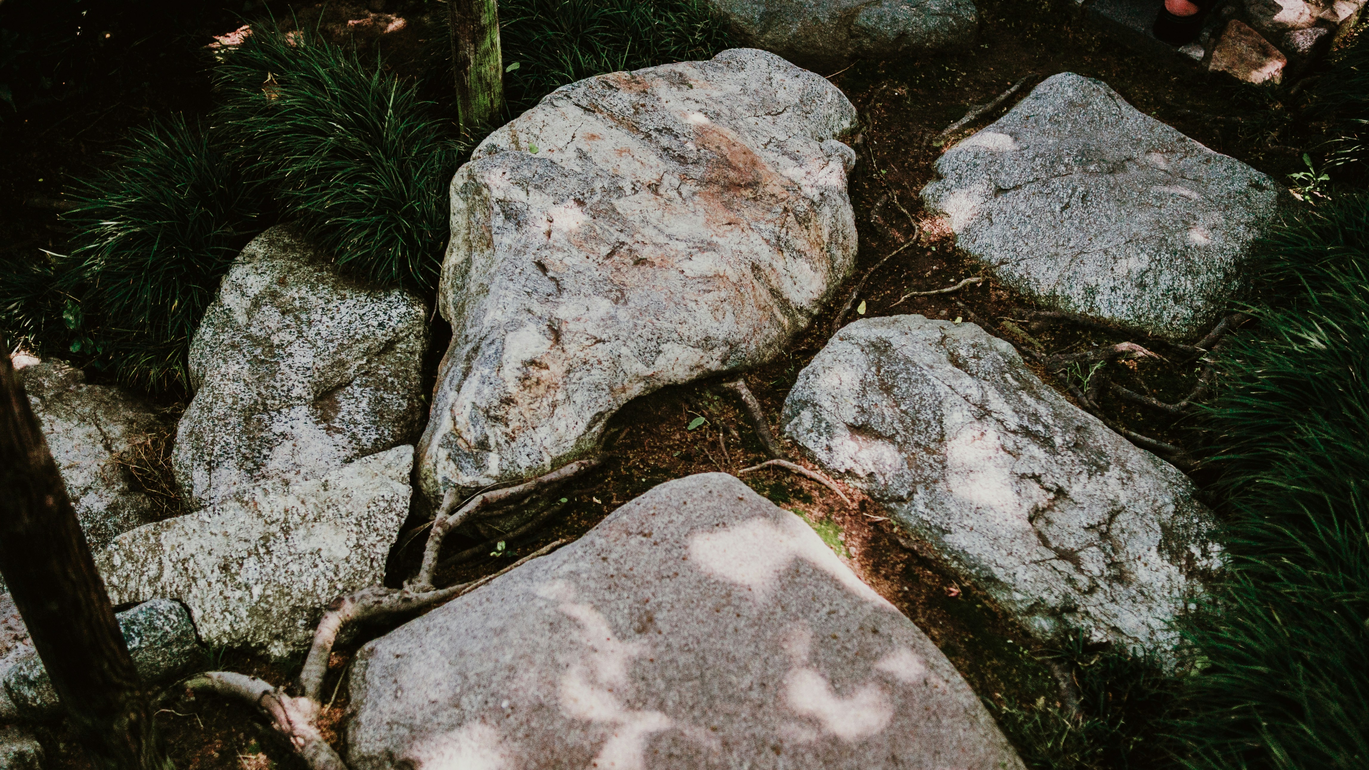 Photo by candegrapher