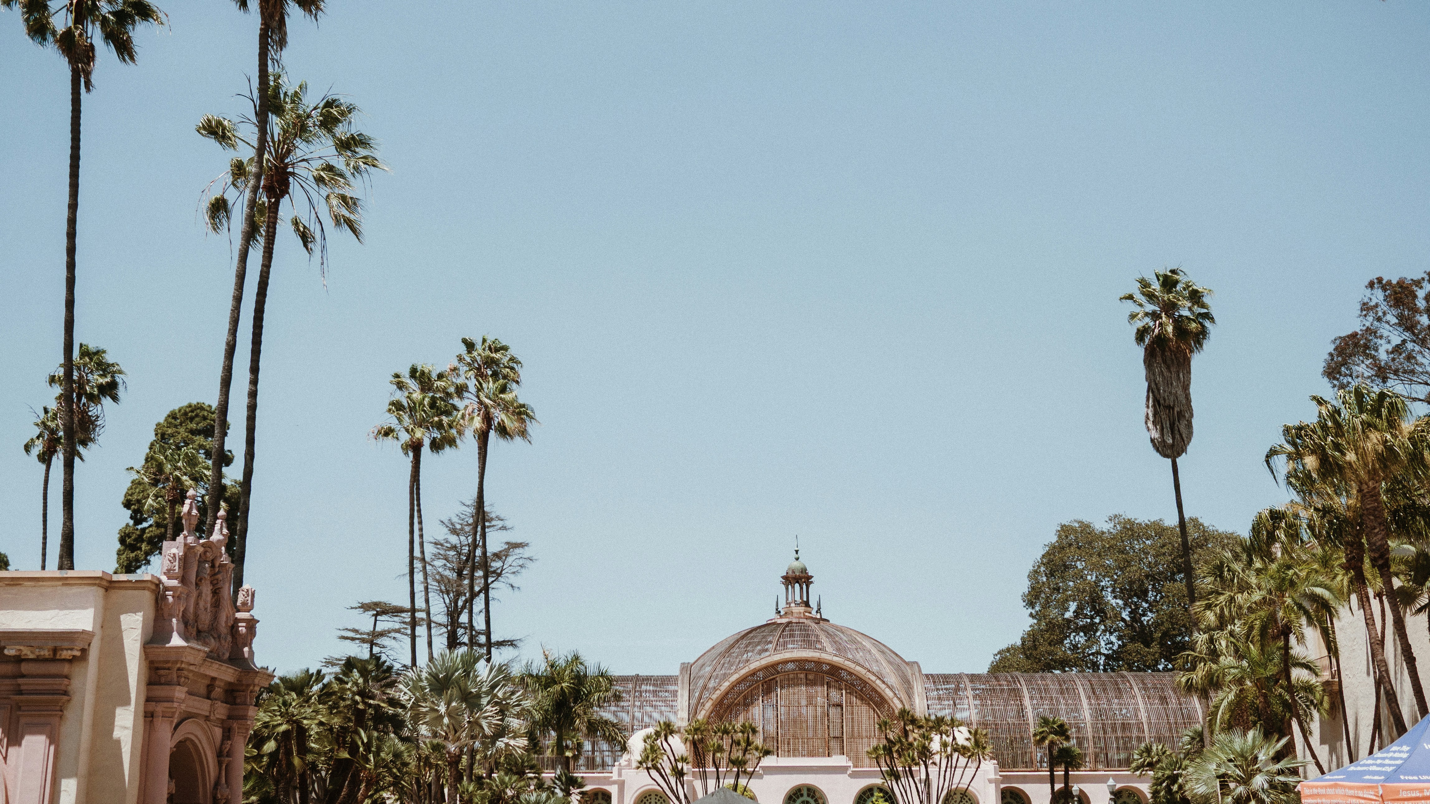Palm trees and a beautiful building stand together.