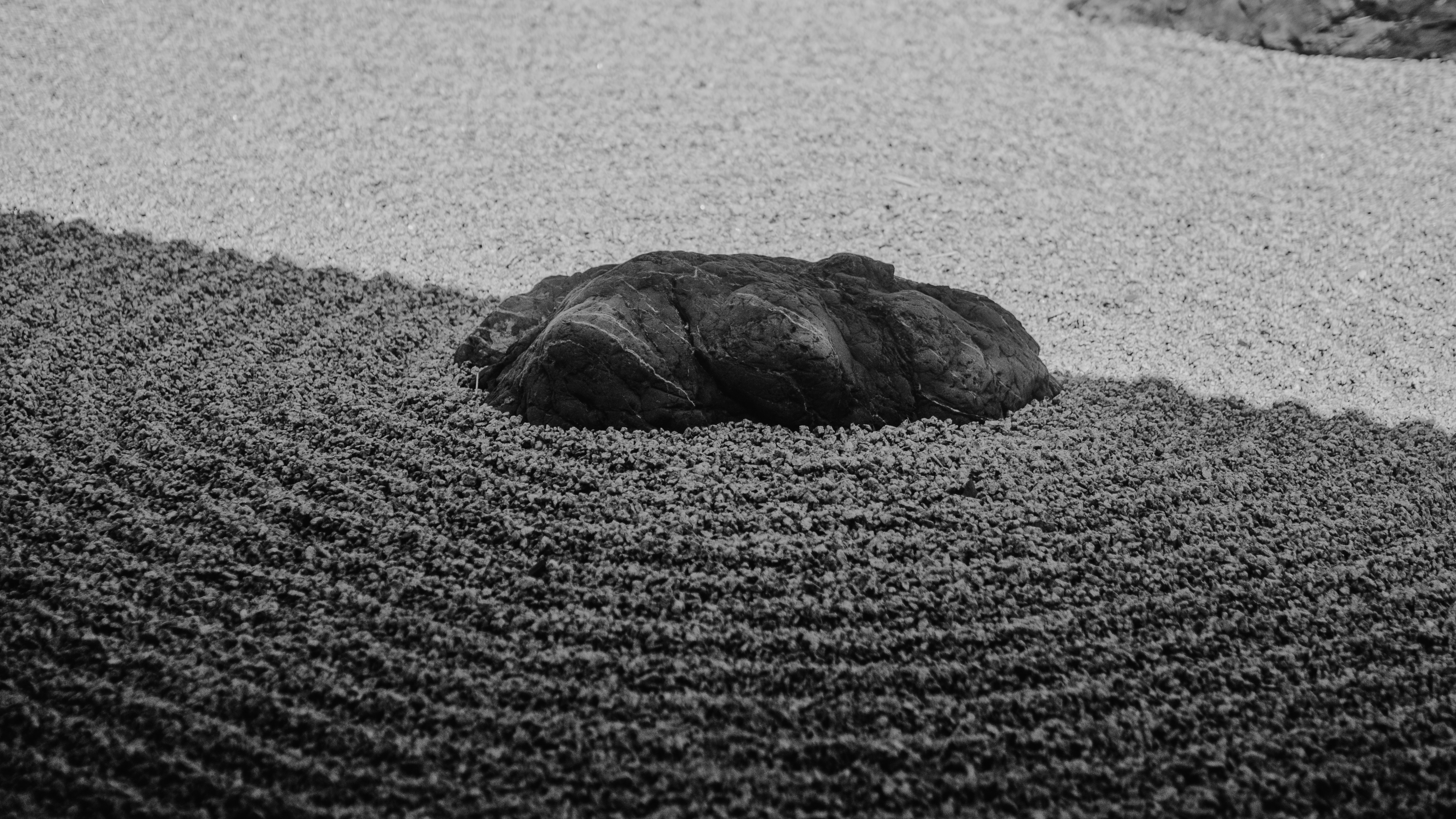 The Evolution of Rug Care & Smart Storage in 2026: Advanced Strategies for Longevity and Small‑Space Living