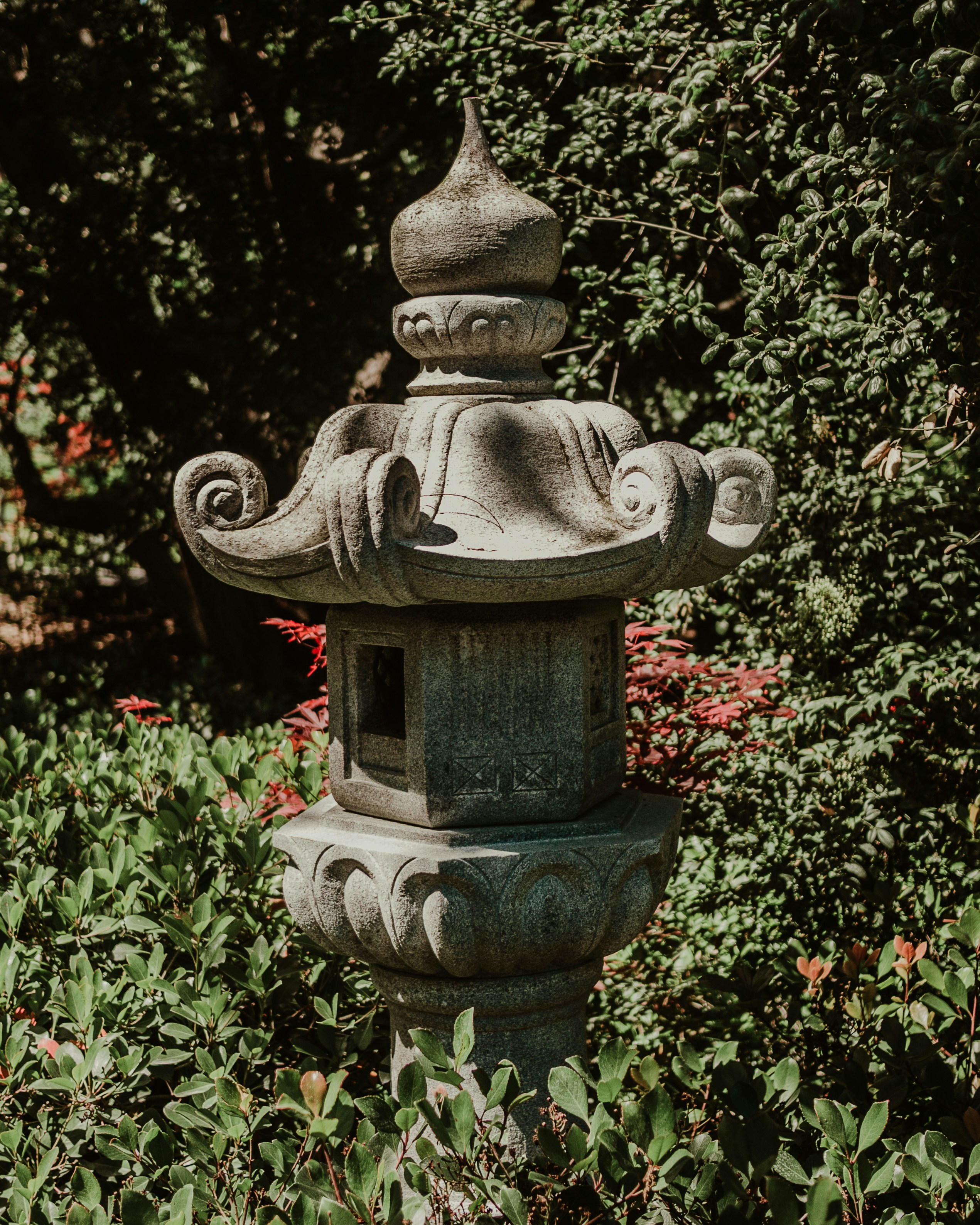 Photo by candegrapher