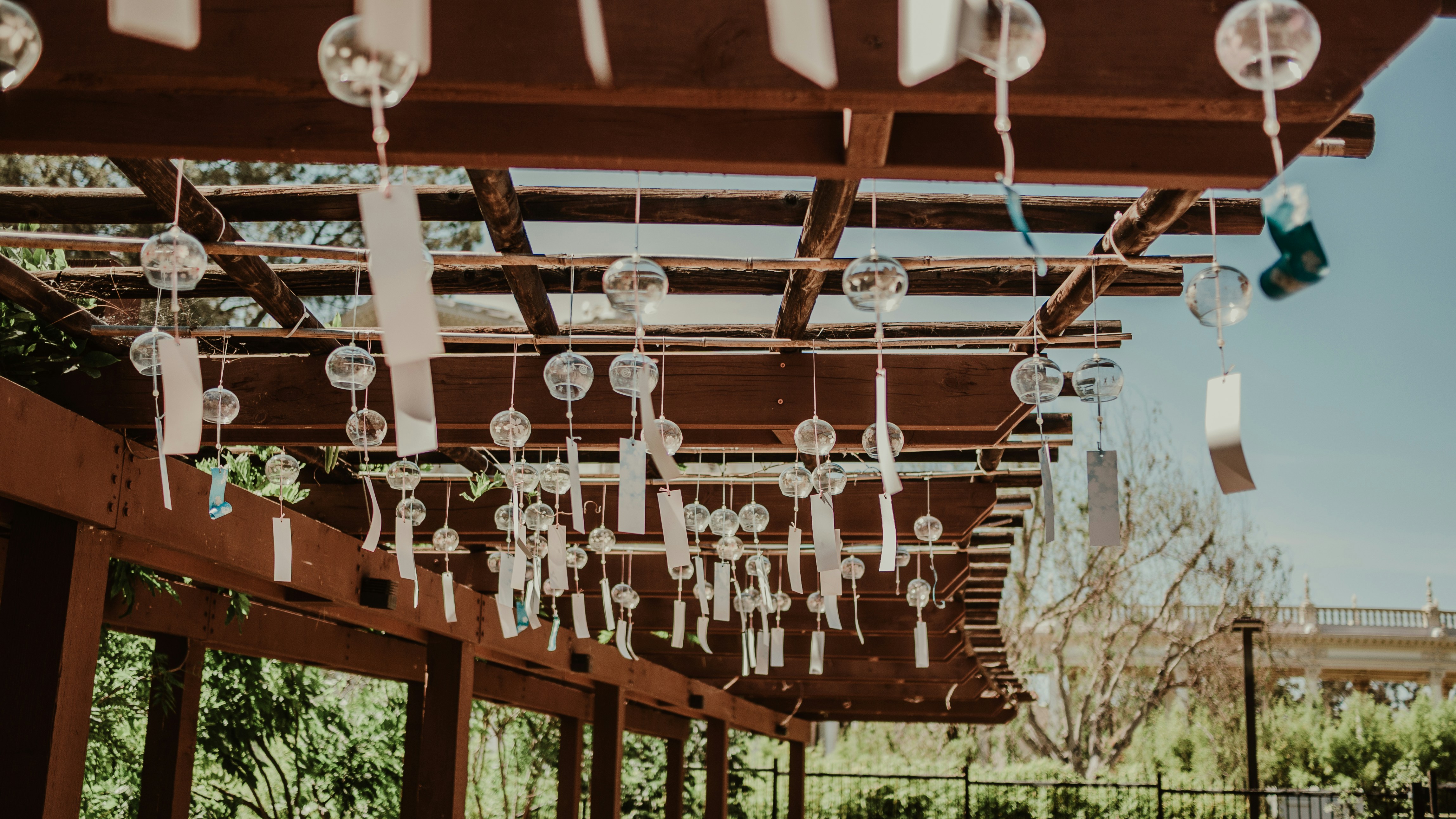 Photo by candegrapher