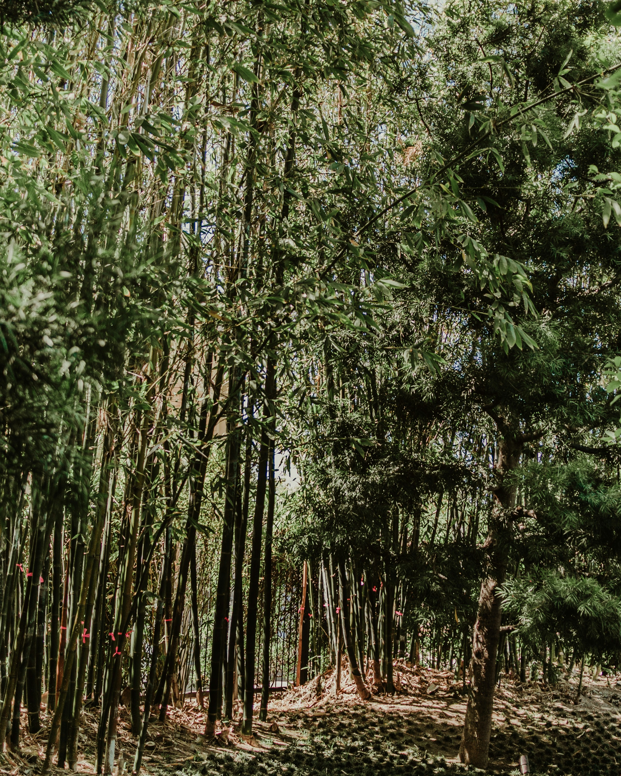 Photo by candegrapher