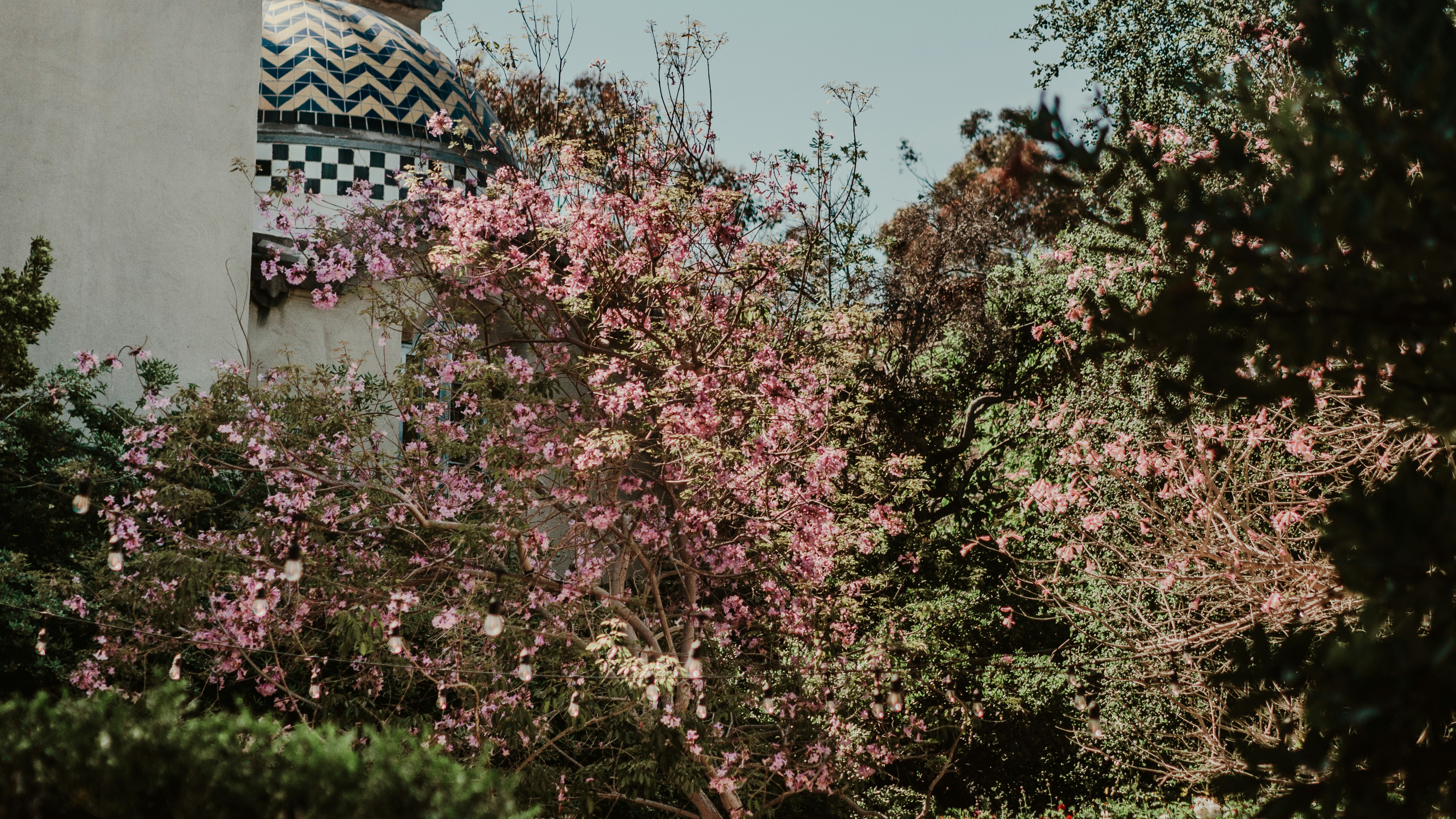 Photo by candegrapher