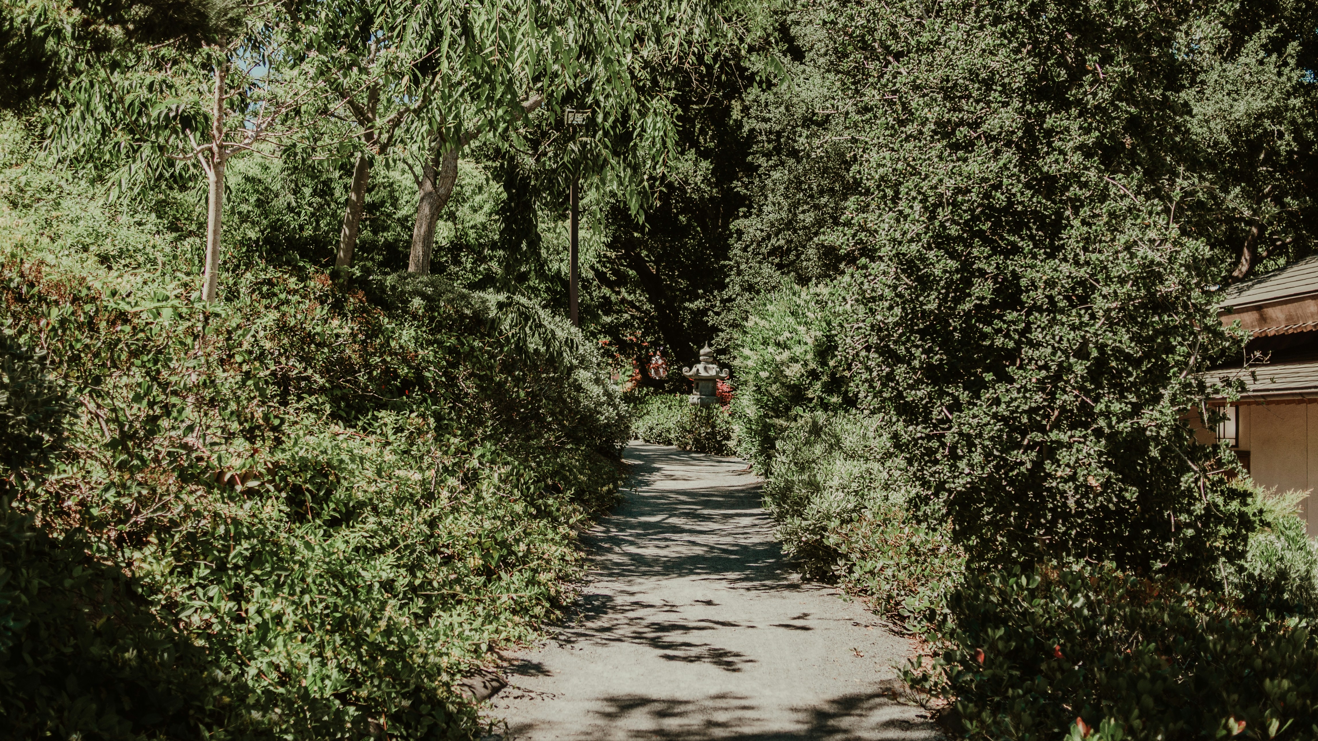 Photo by candegrapher