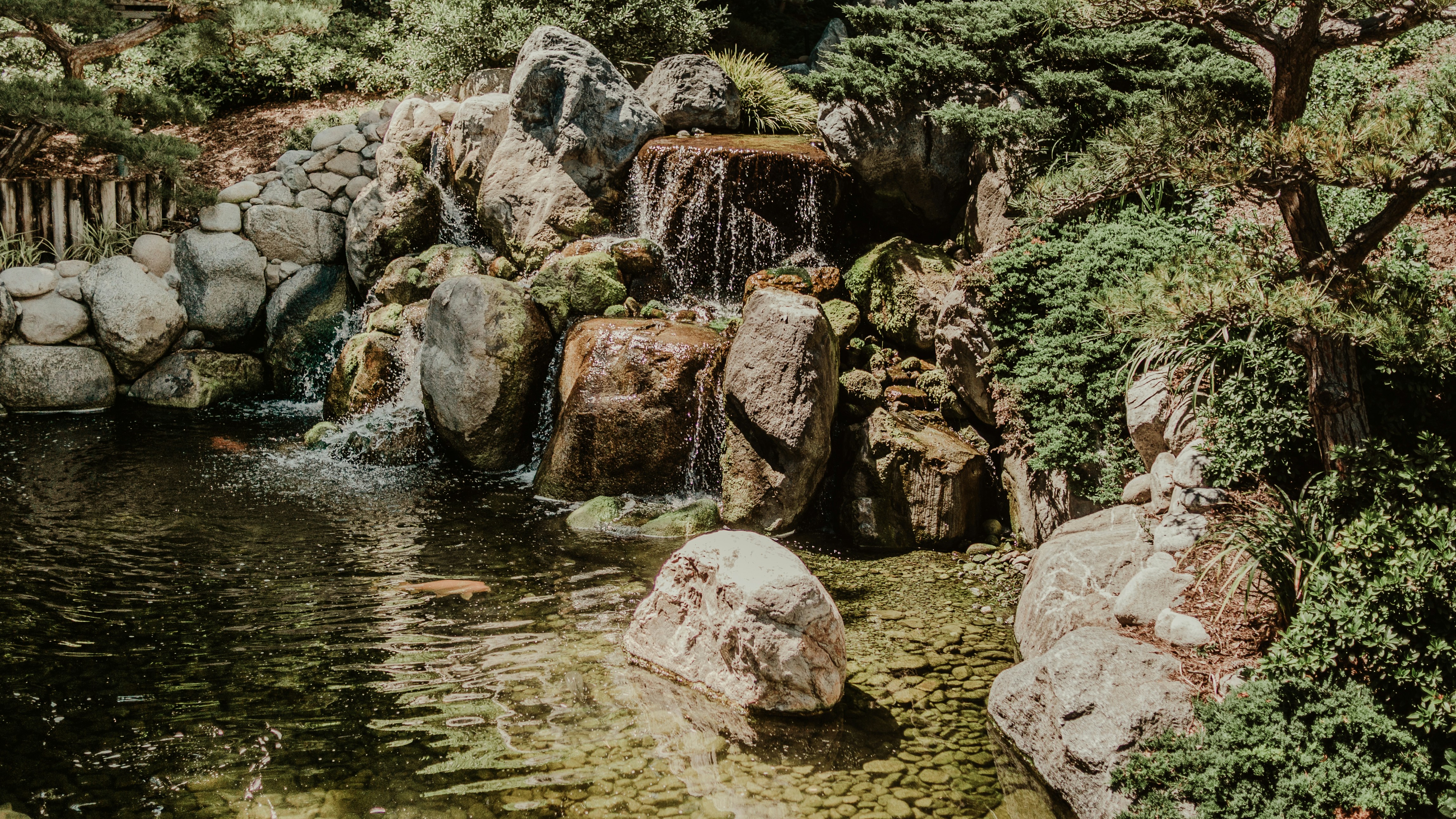 Photo by candegrapher