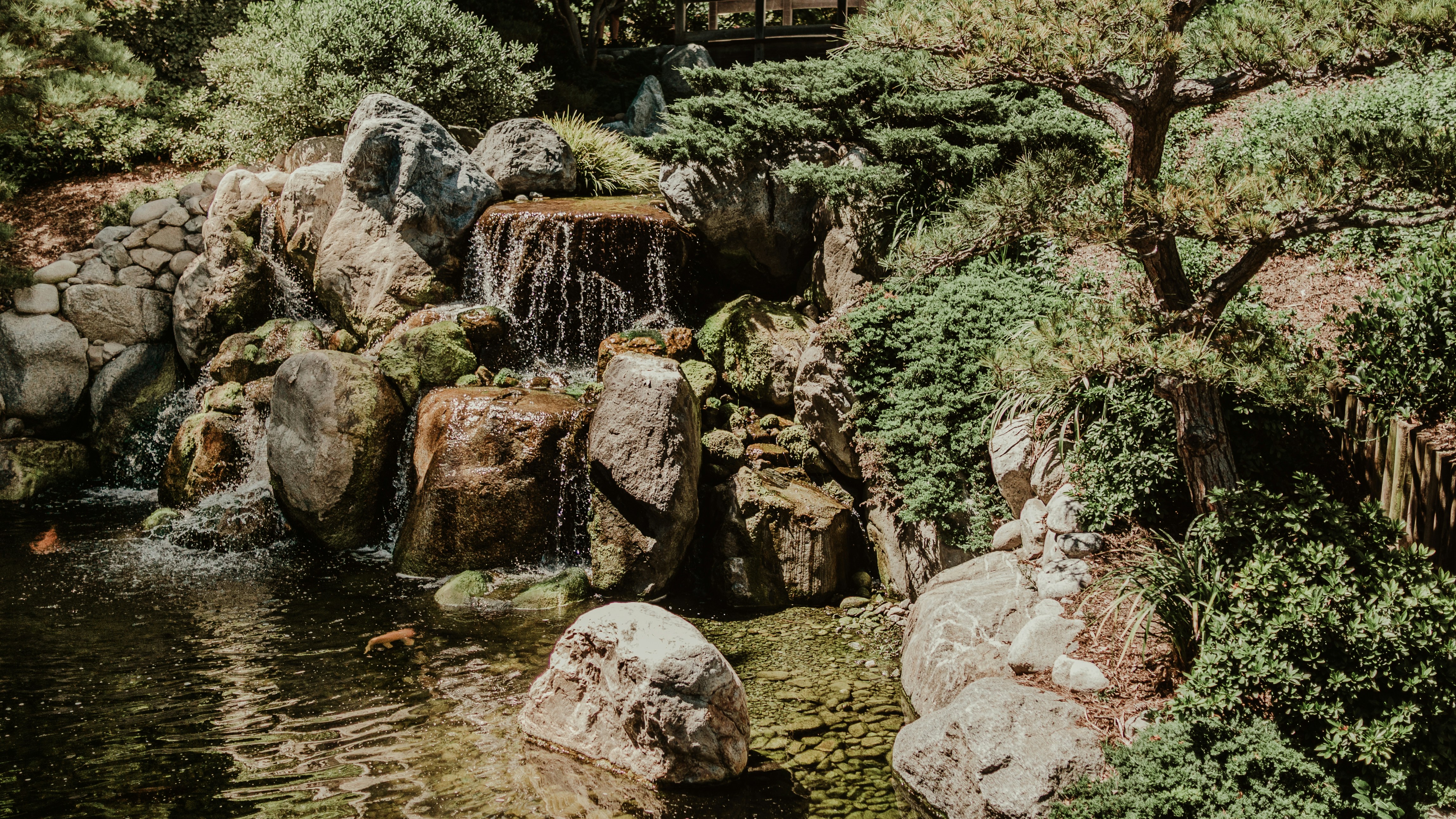 Photo by candegrapher