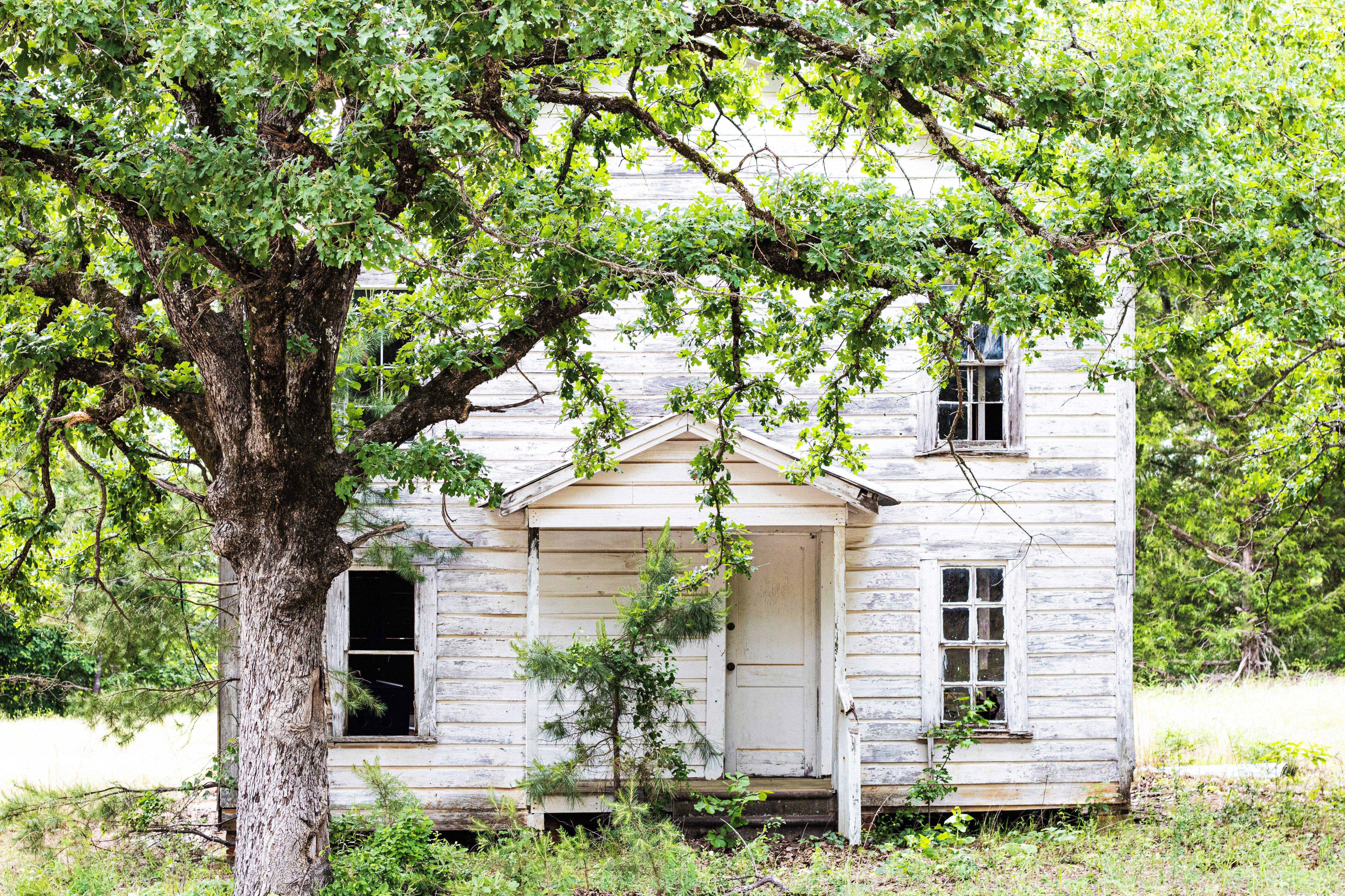 Photo by ronaldacrow