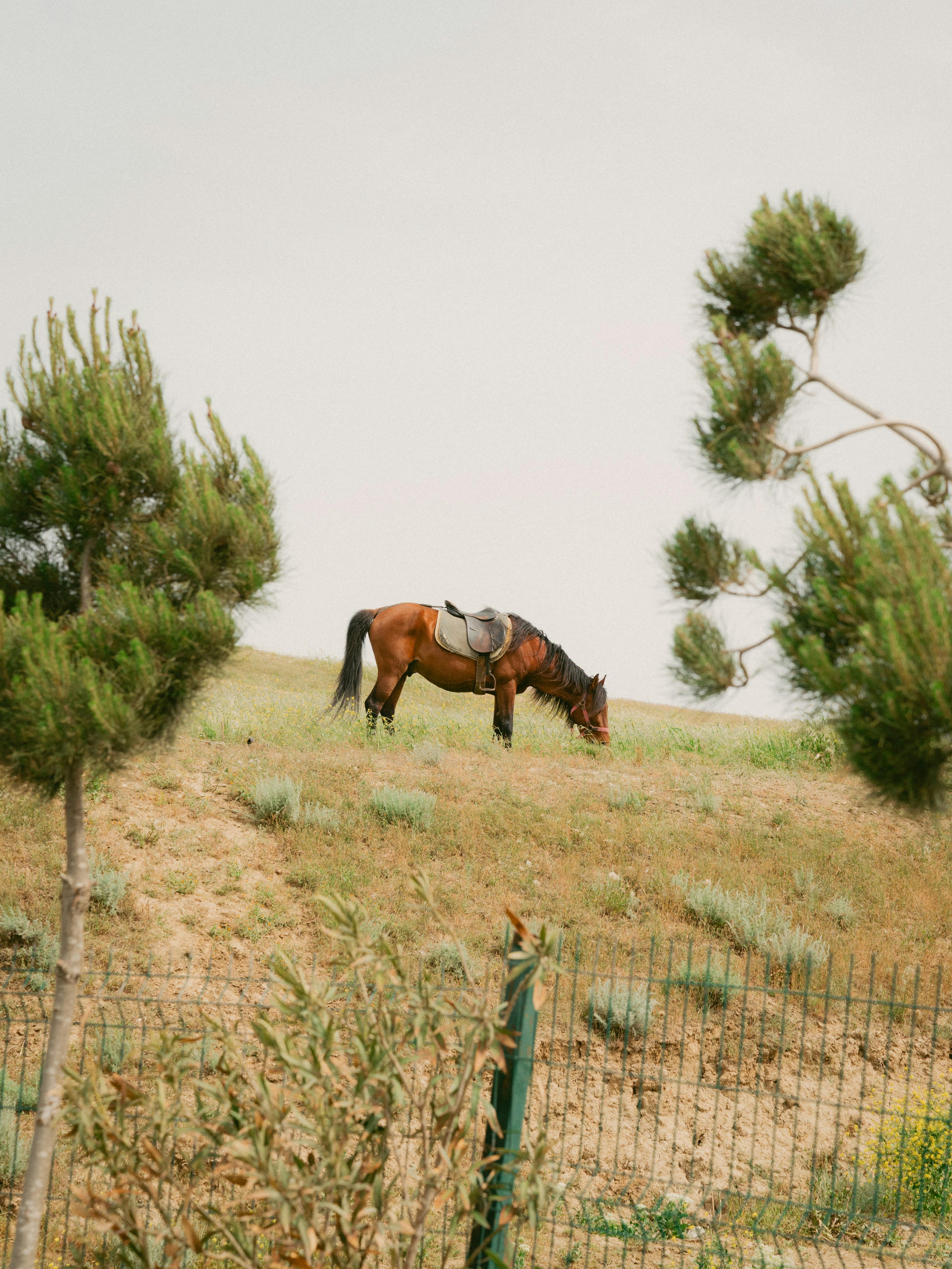 Photo by beingabstrac