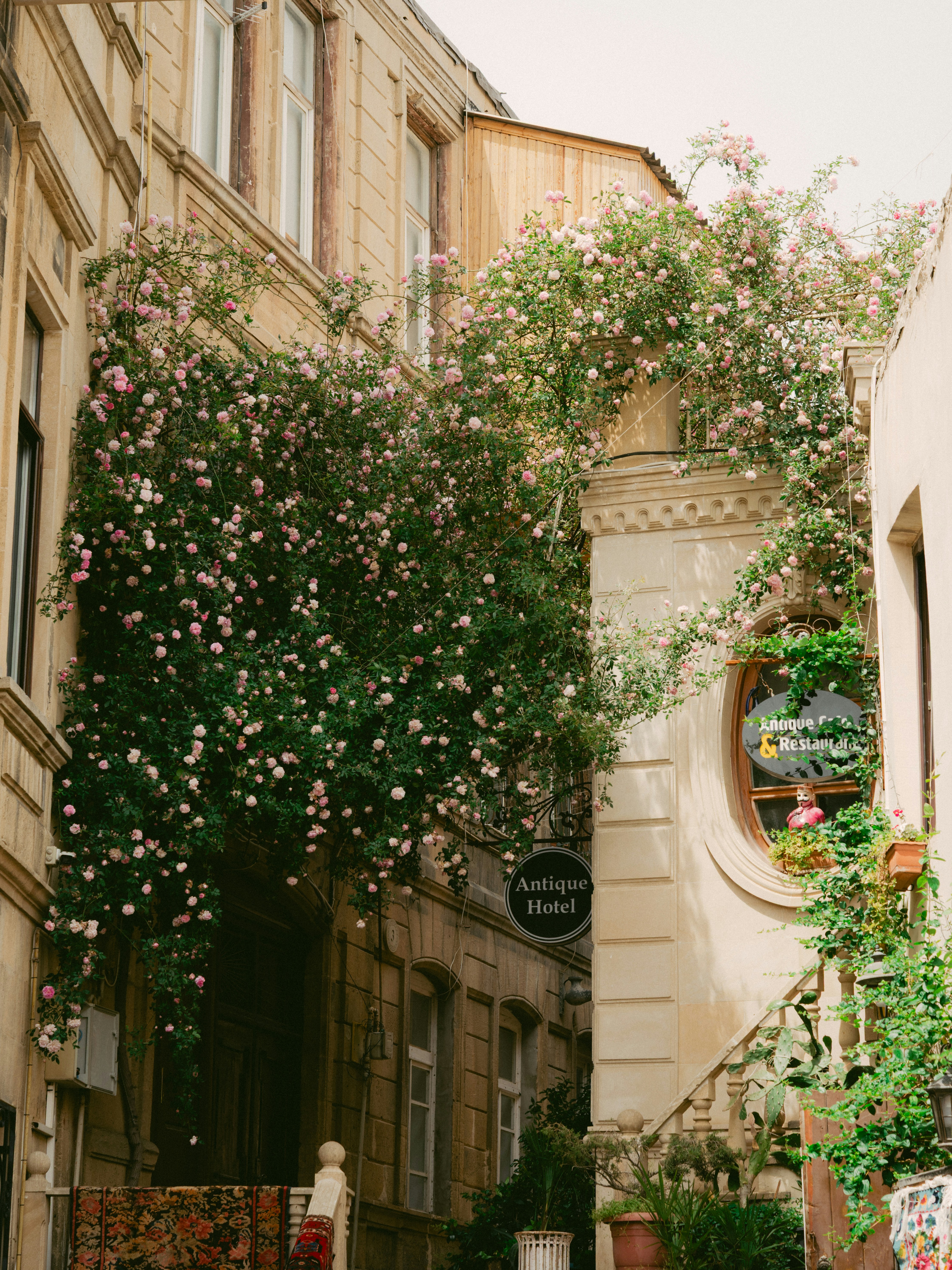 Photo by beingabstrac