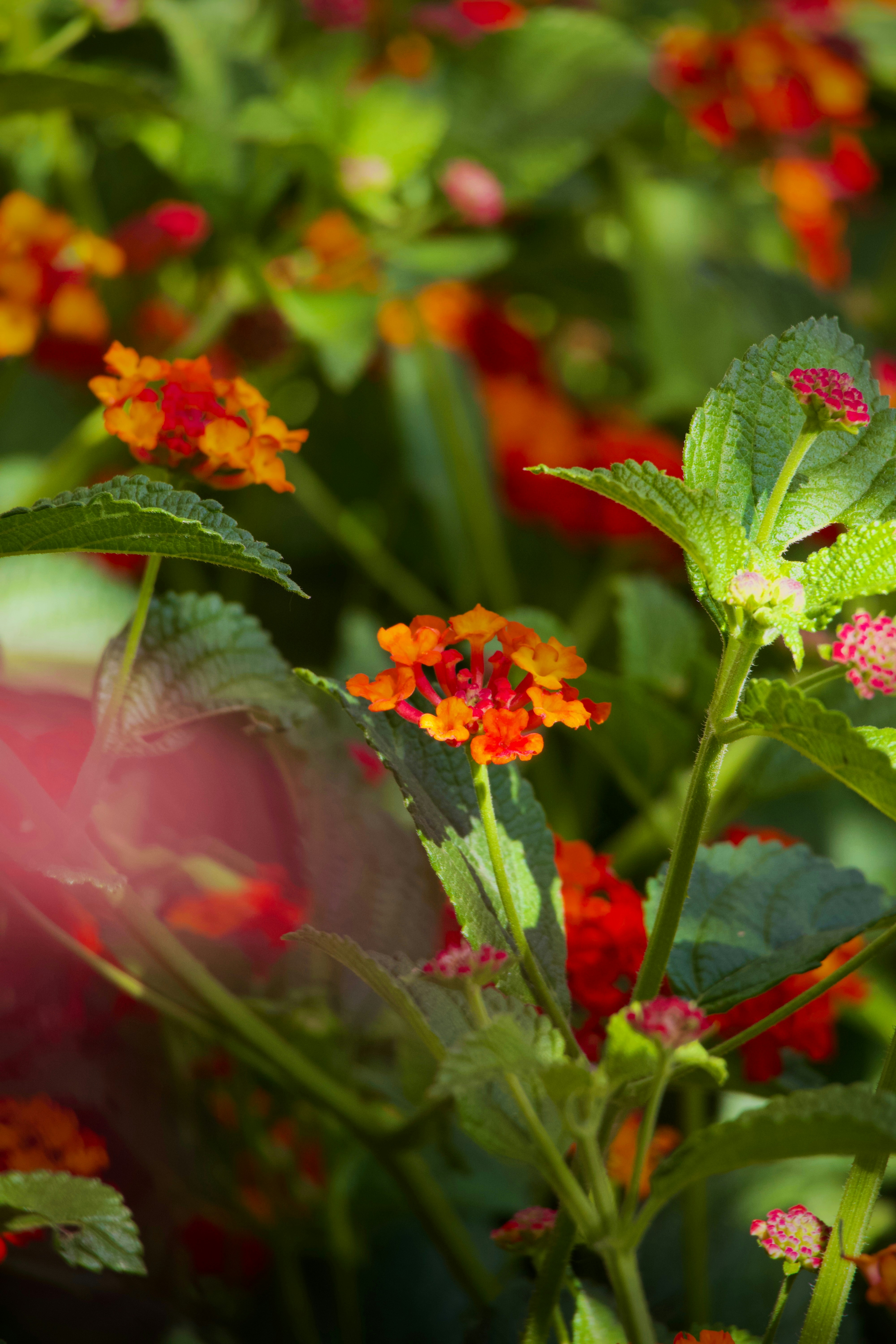 Photo by sarguninder