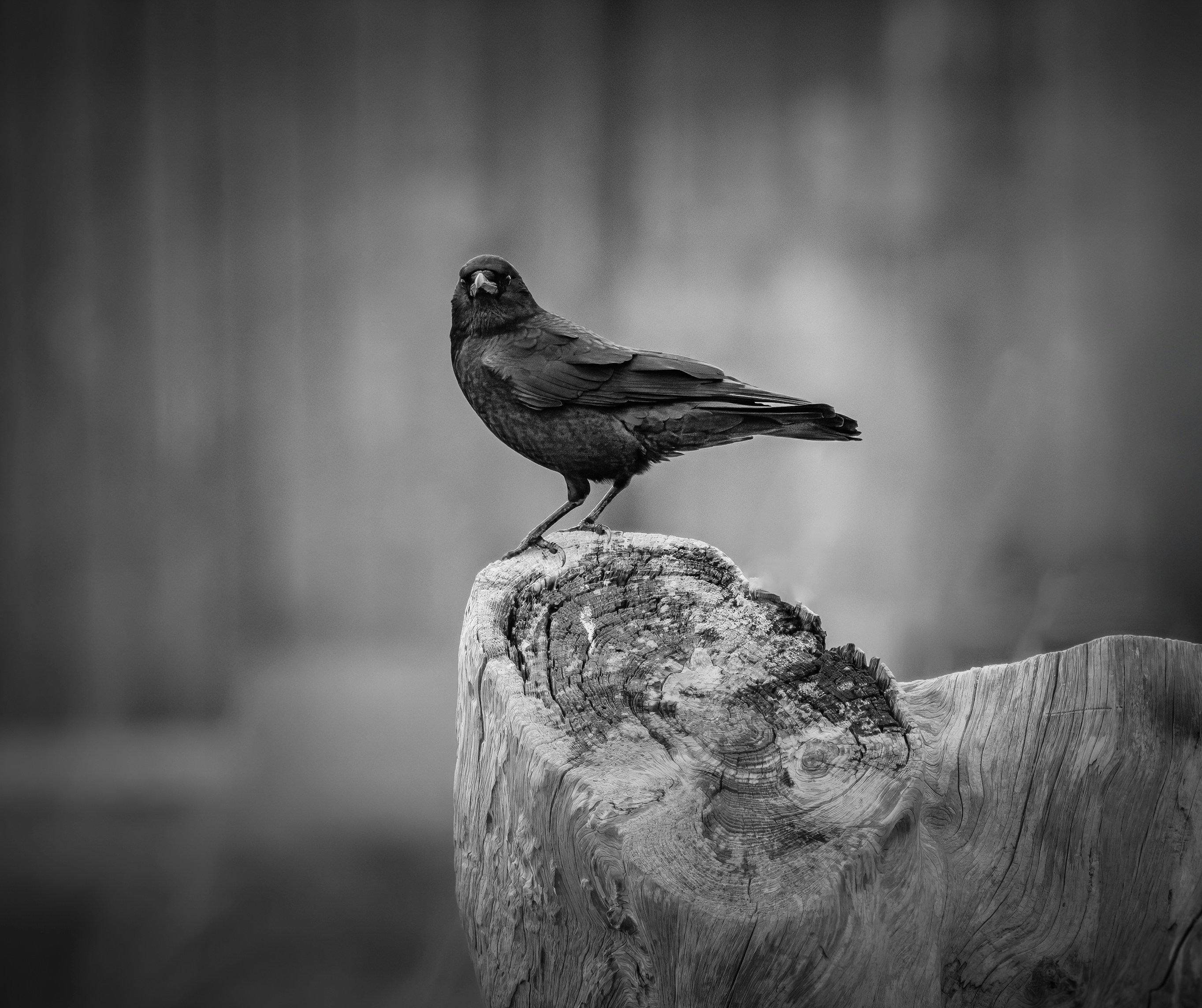 Photo by sailorgreg123