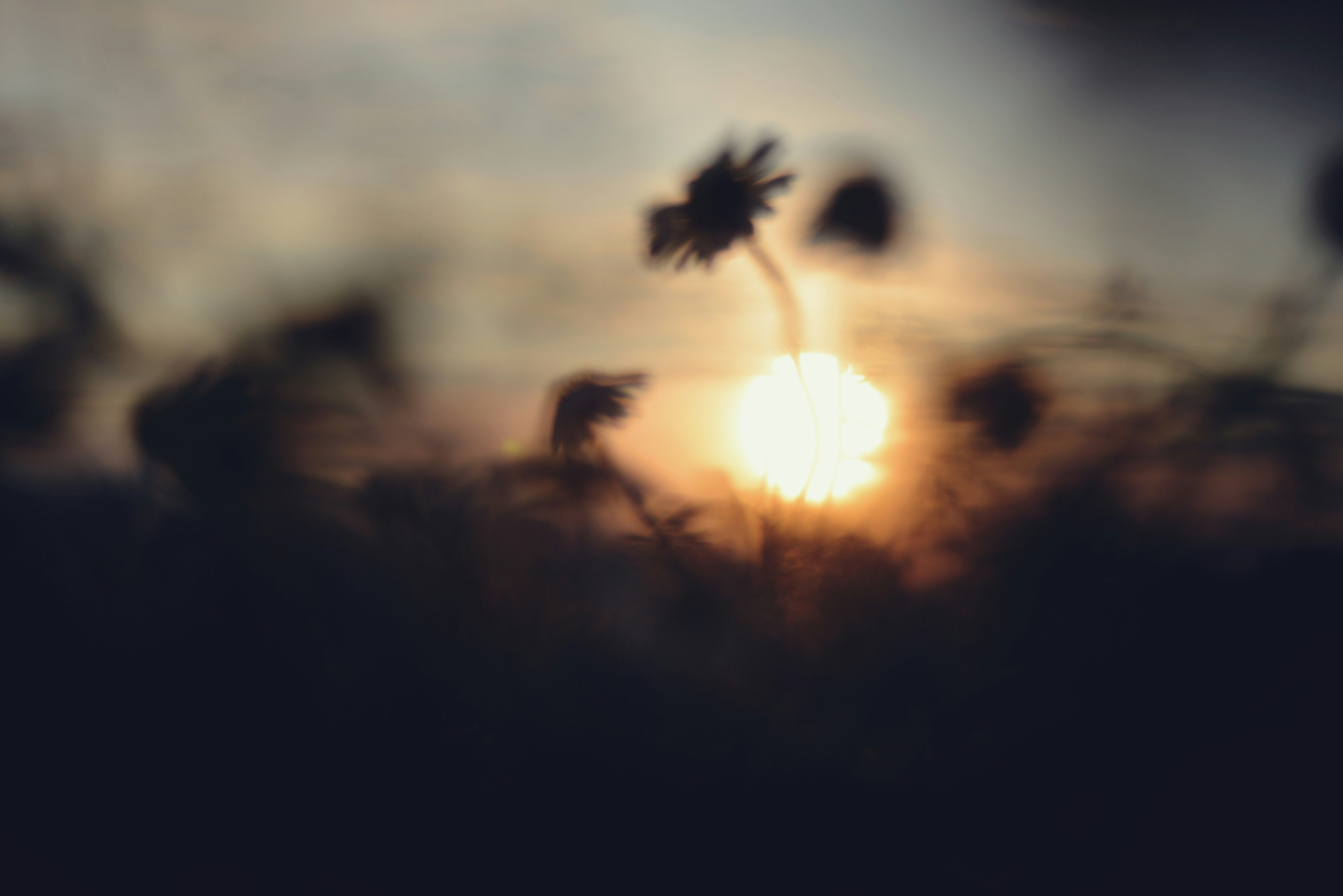 Photo by cherstve_pechivo