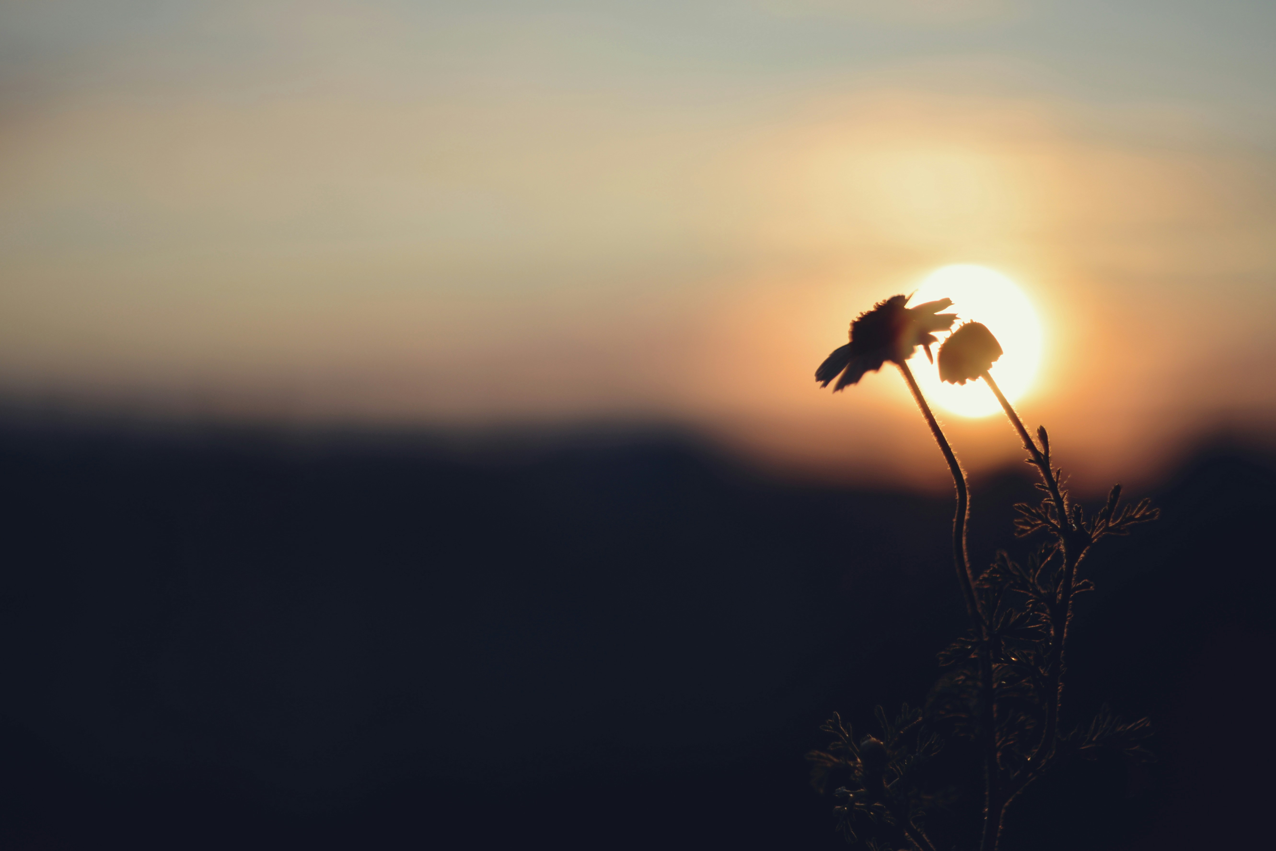 Photo by cherstve_pechivo