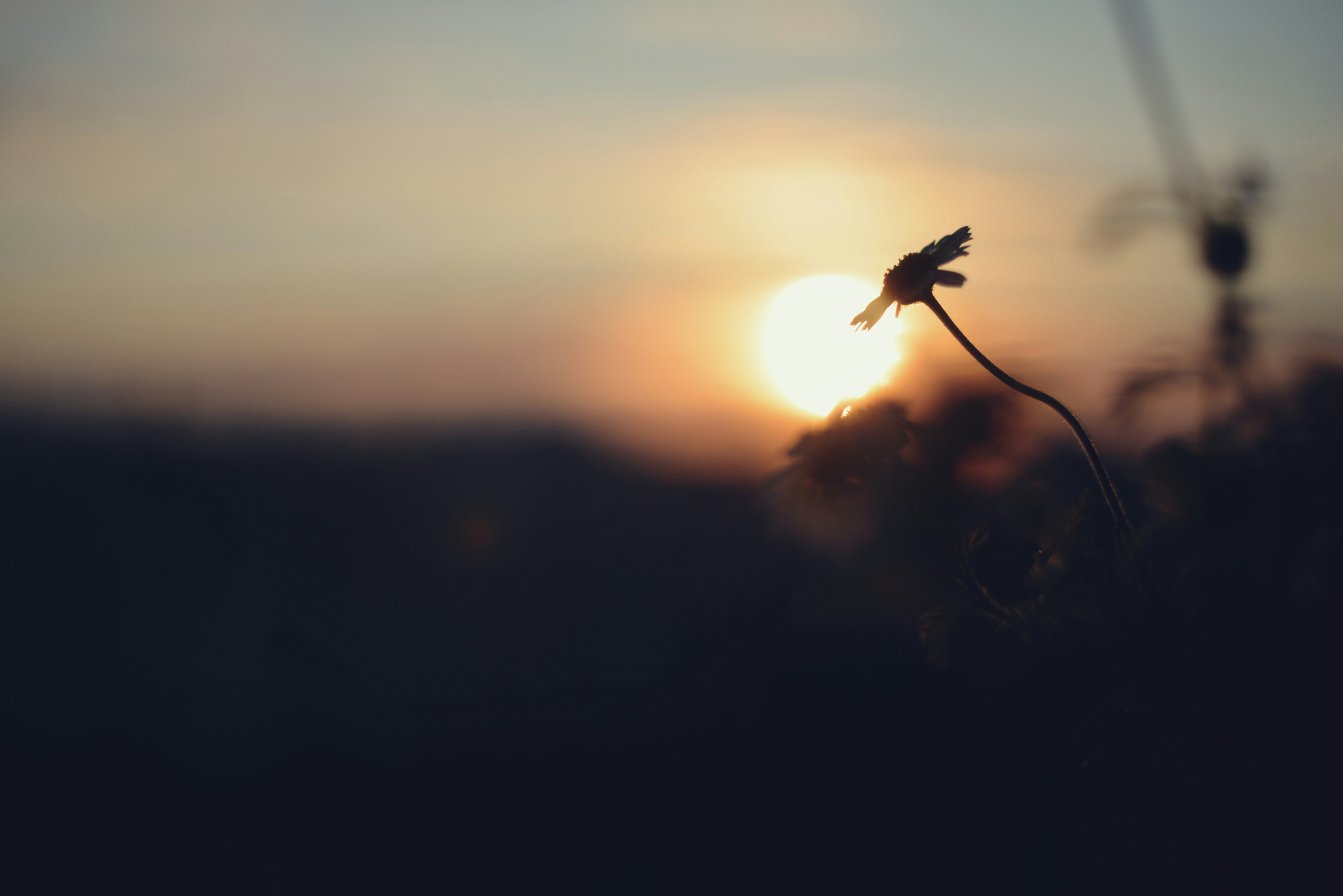 Photo by cherstve_pechivo