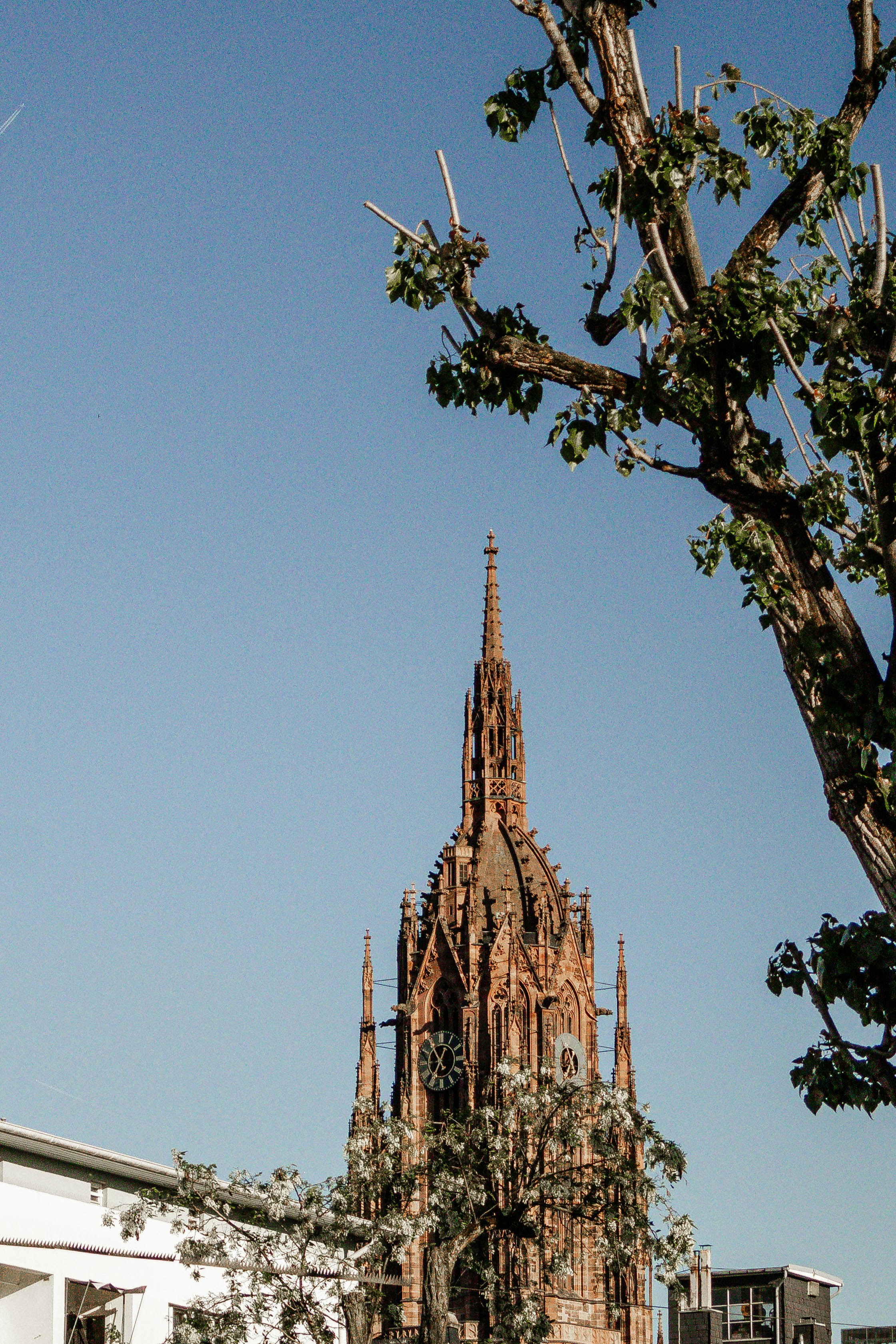 Photo by arlindphotography