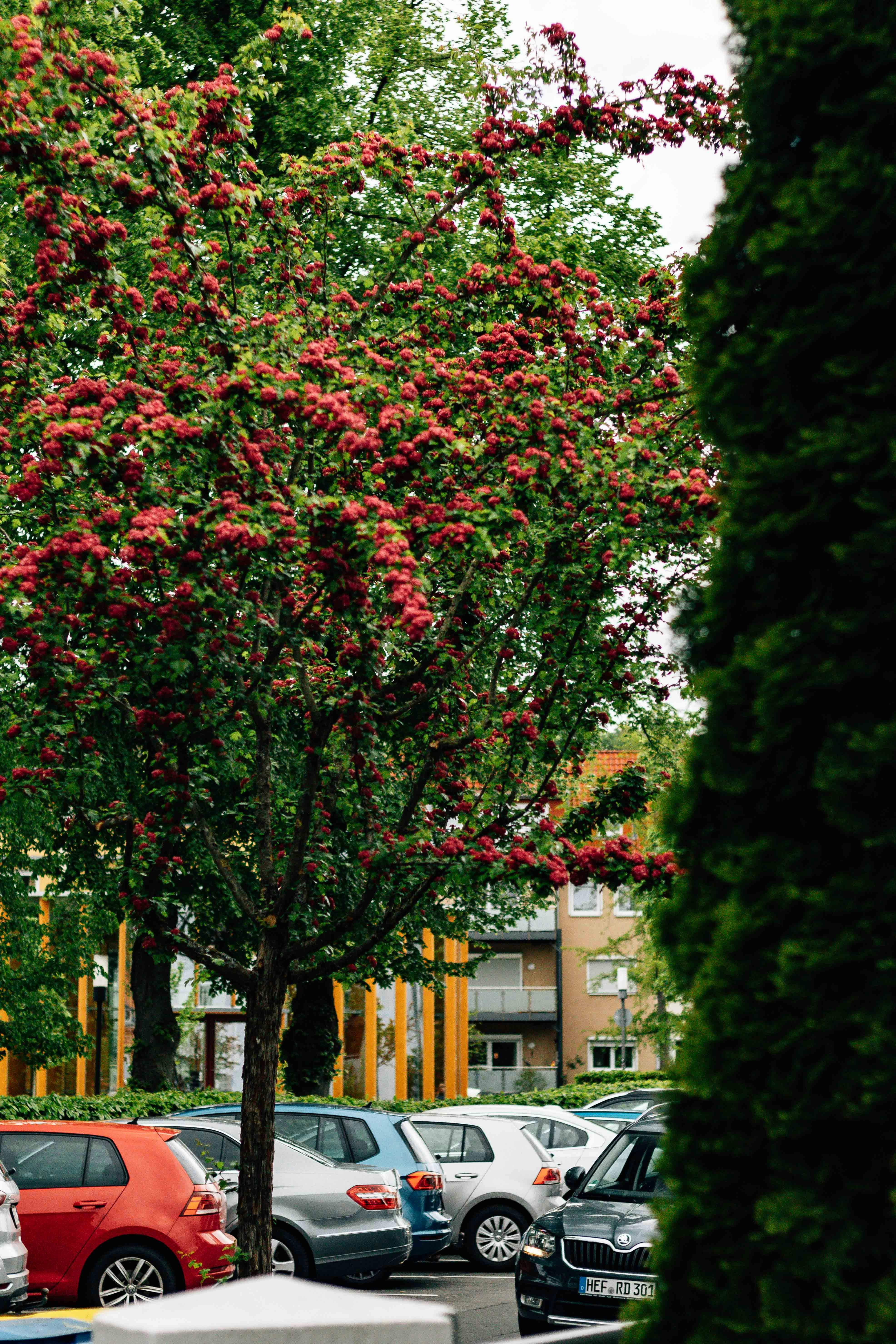 Photo by arlindphotography