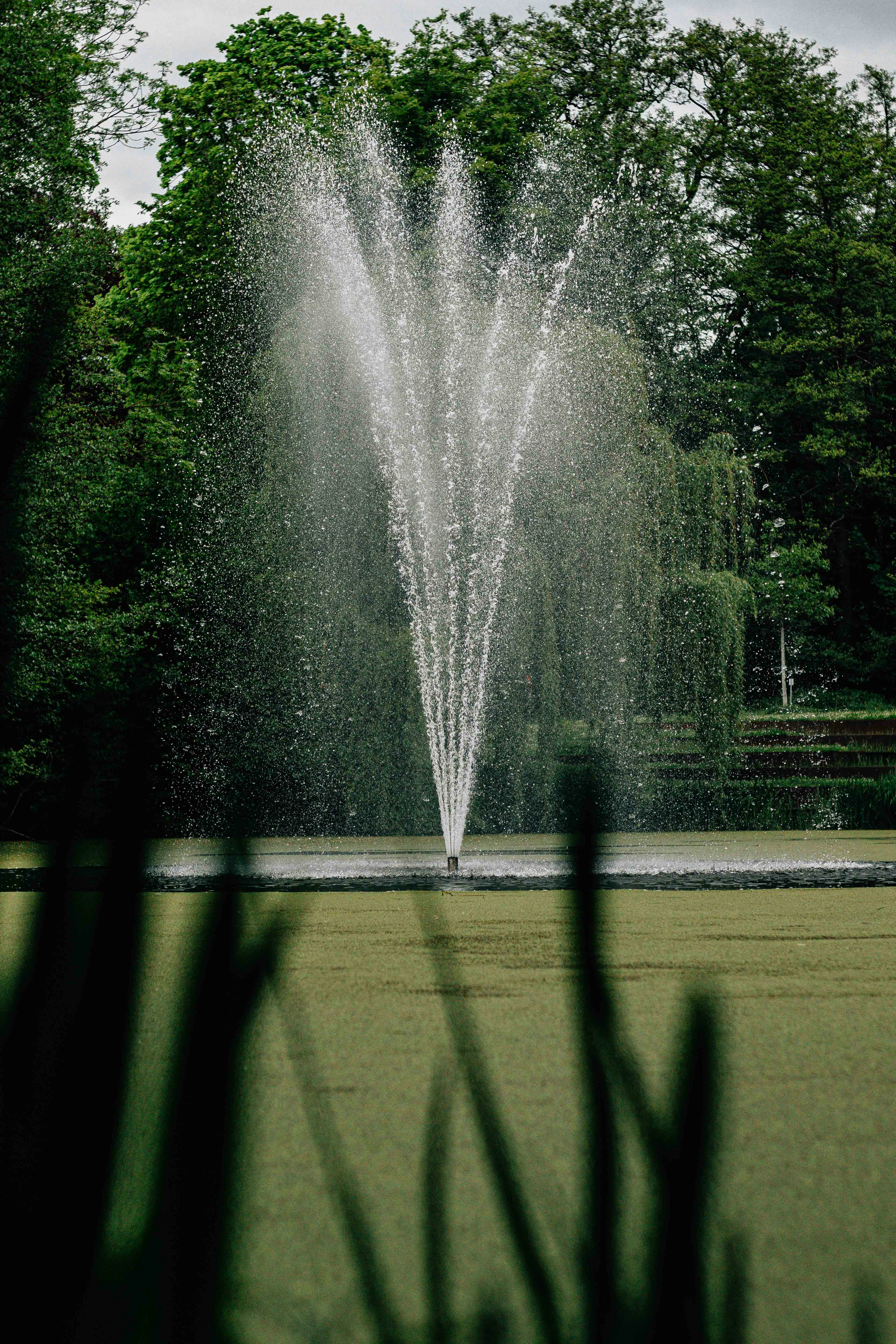 Photo by arlindphotography